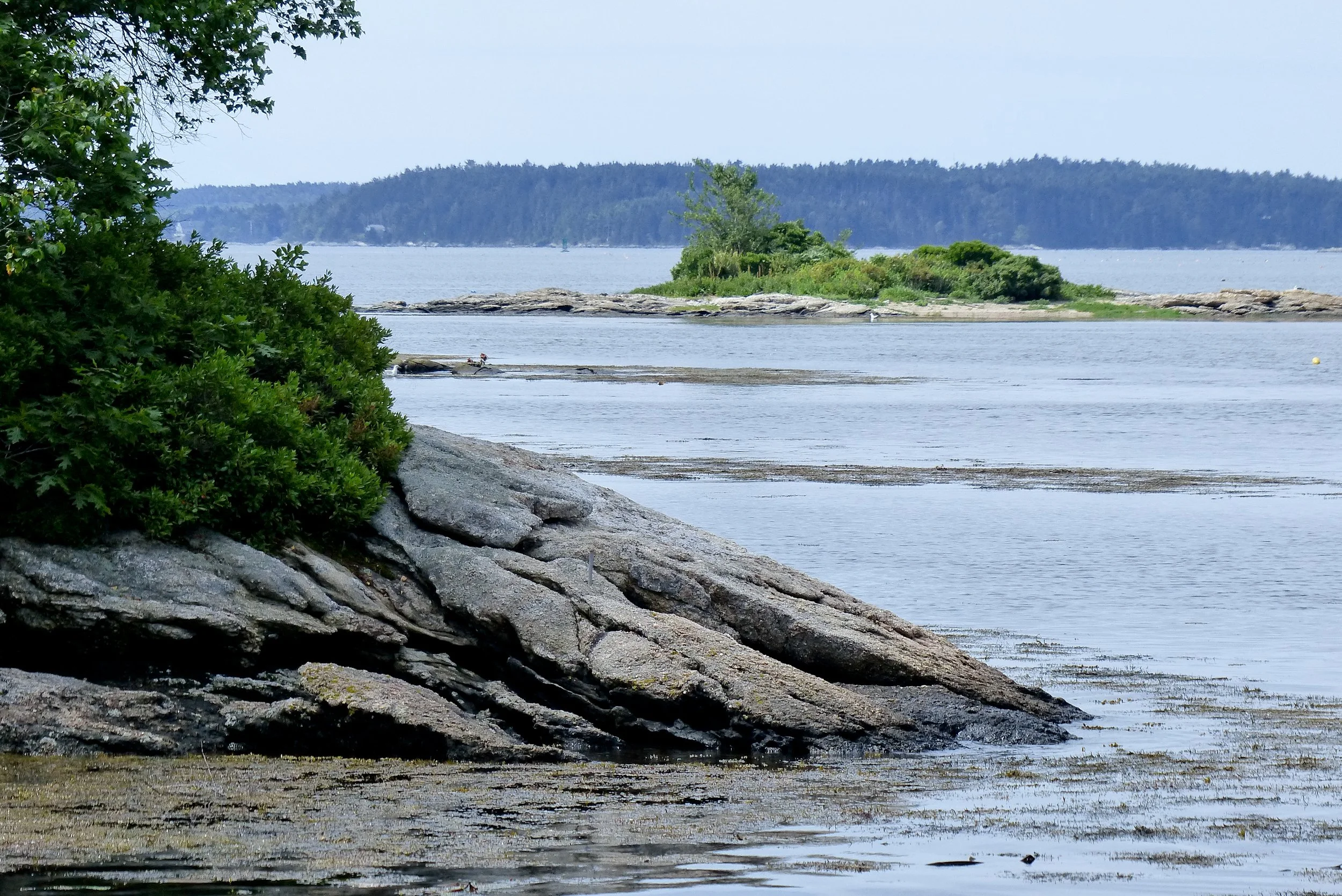 Land Trust Spotlight #9: Boothbay Region Land Trust