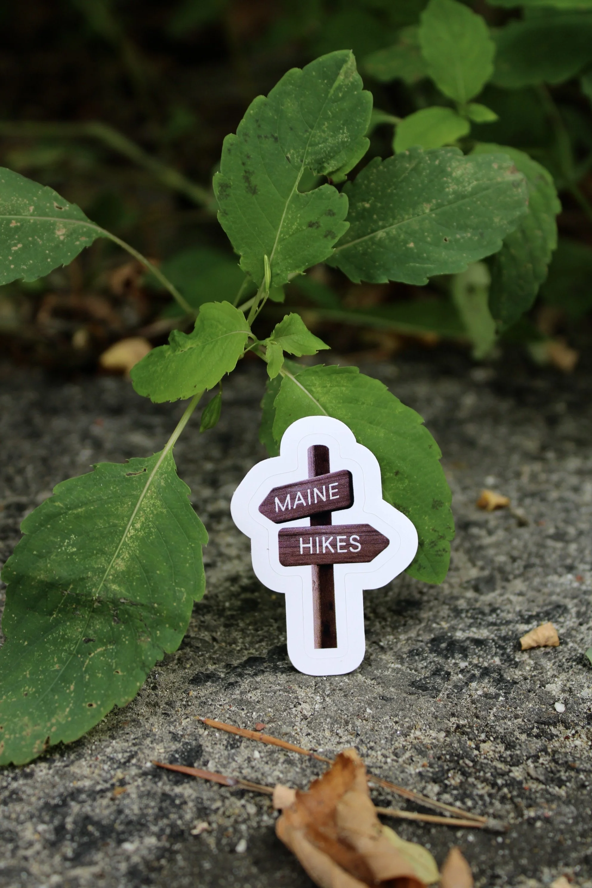 Maine Hikes Stickers