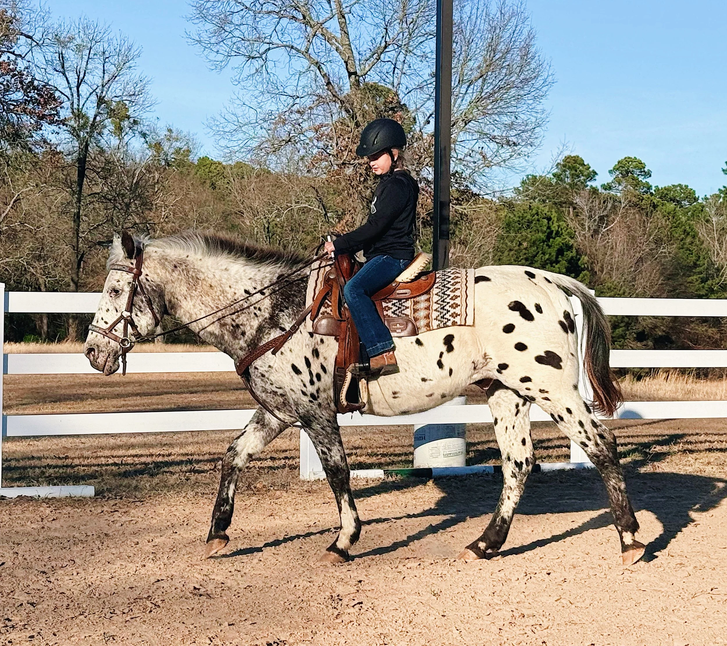 AE0ACF53-7B59-4AB5-9C53-DEC2DEF13262 3.JPG