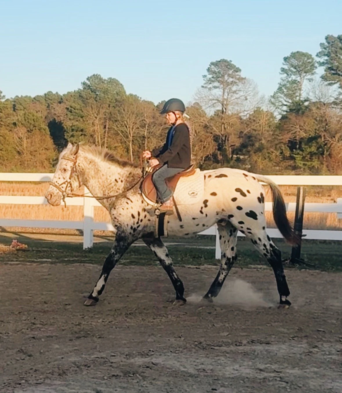 241EC5CA-BC49-46F5-9238-2D78C10EE860 2.JPG