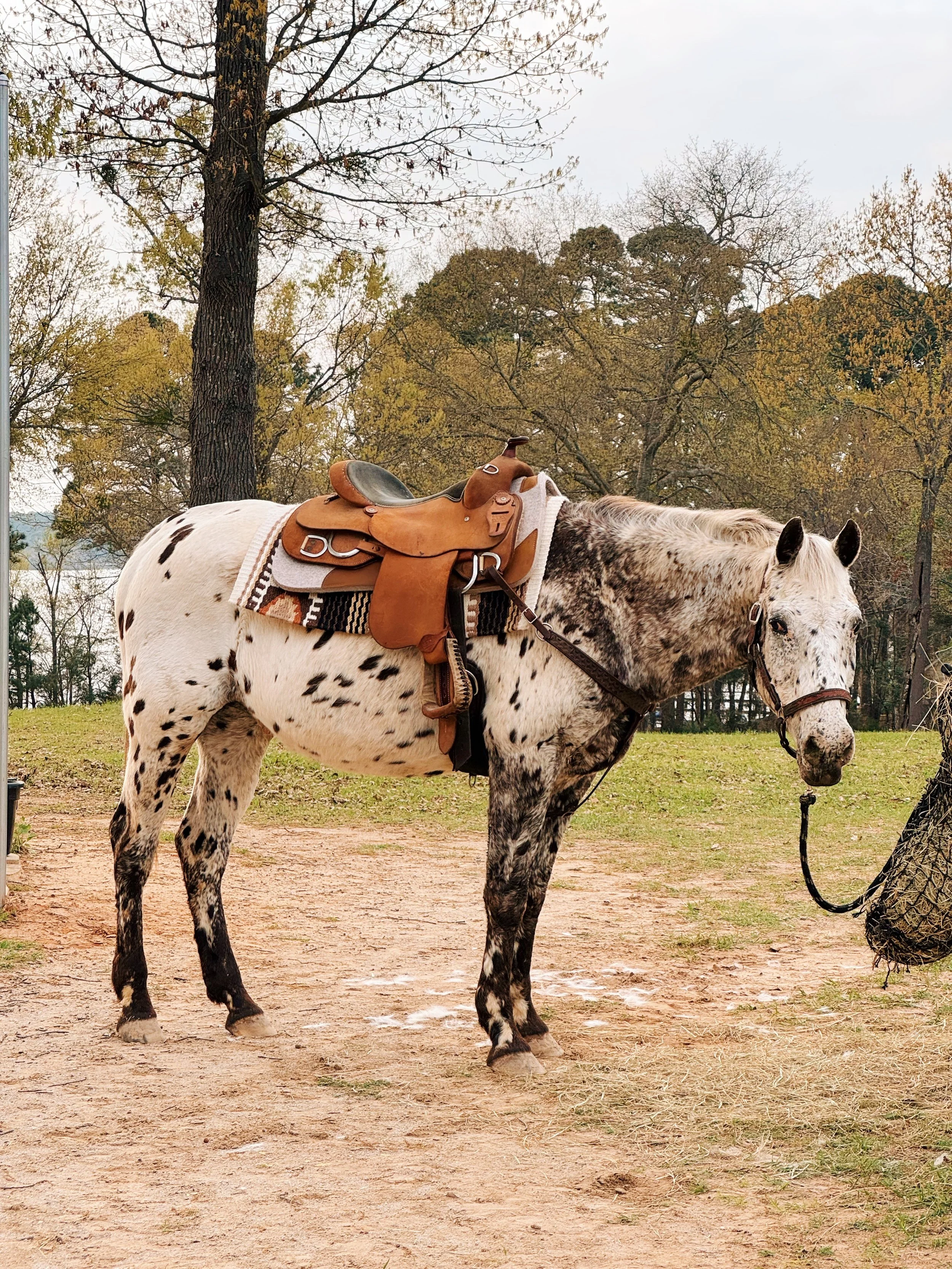 08D05A68-FEF1-4CDD-9680-376FEF9B6886 2.JPG