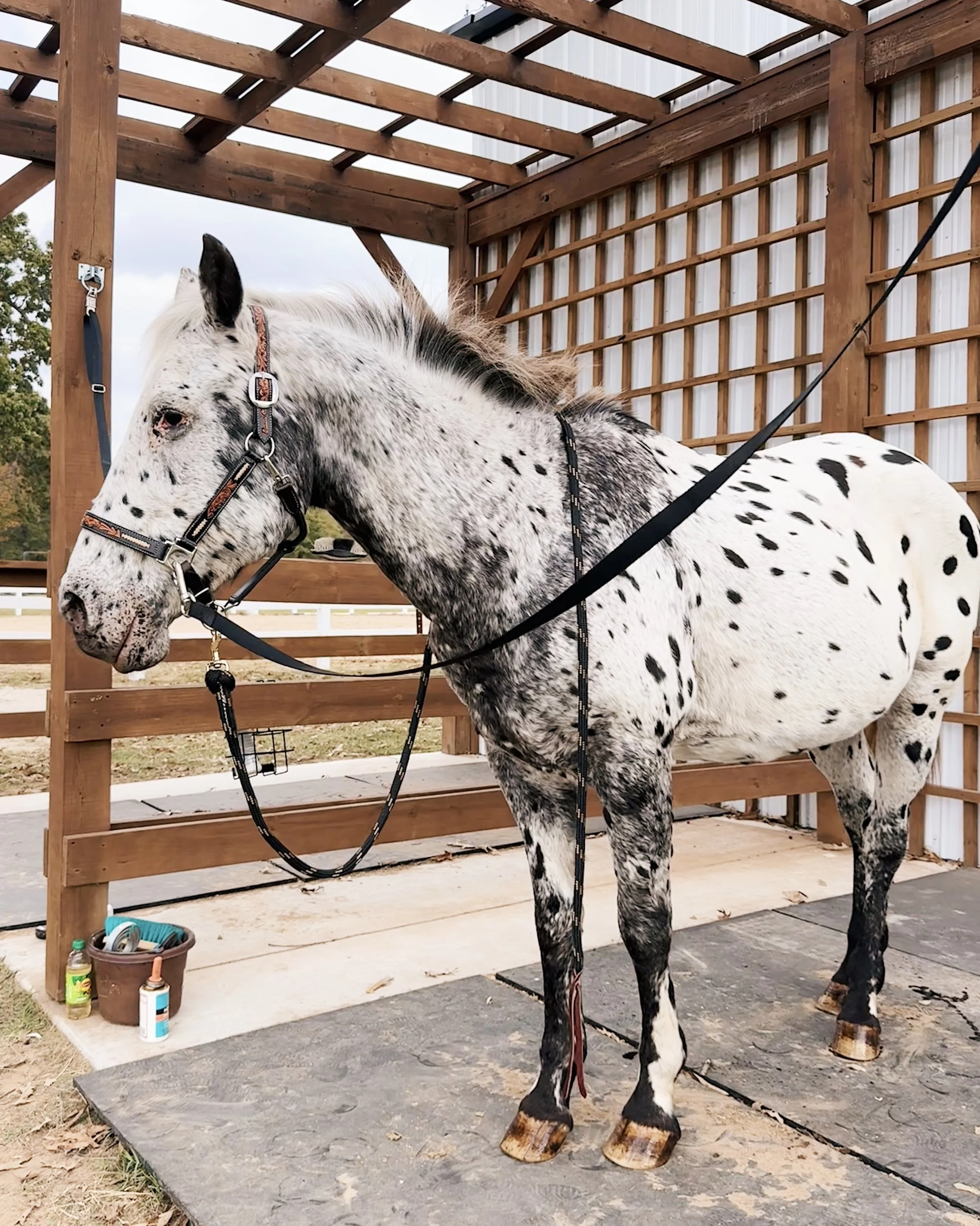 D1017F6F-F7D2-42AB-BFEA-001C8BE3C6D3 2.jpg