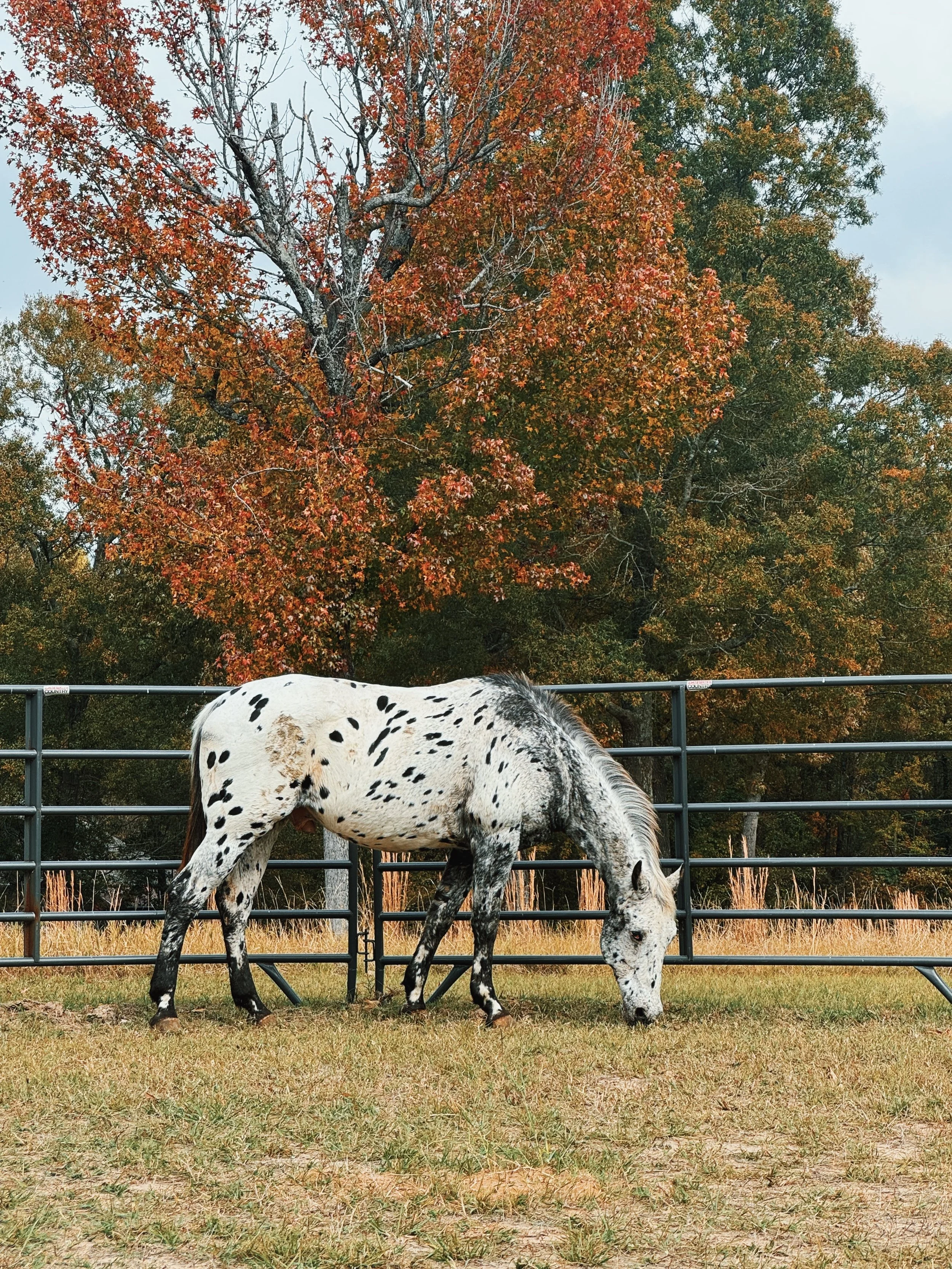 439C6495-23ED-4AF9-AC44-9CC9585B31ED 2.jpg