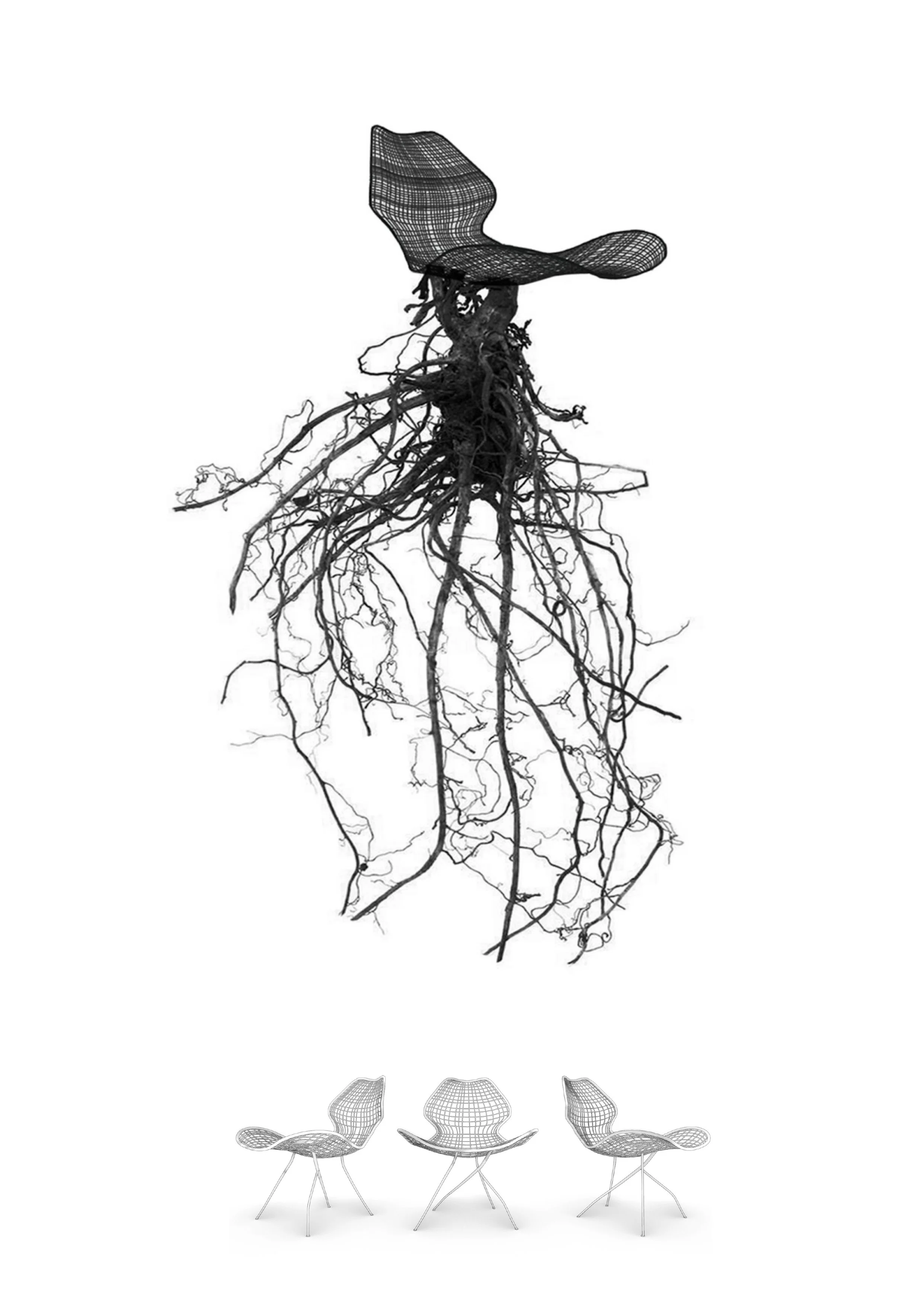Roots_110525 - Google Docs_page-0001.jpg