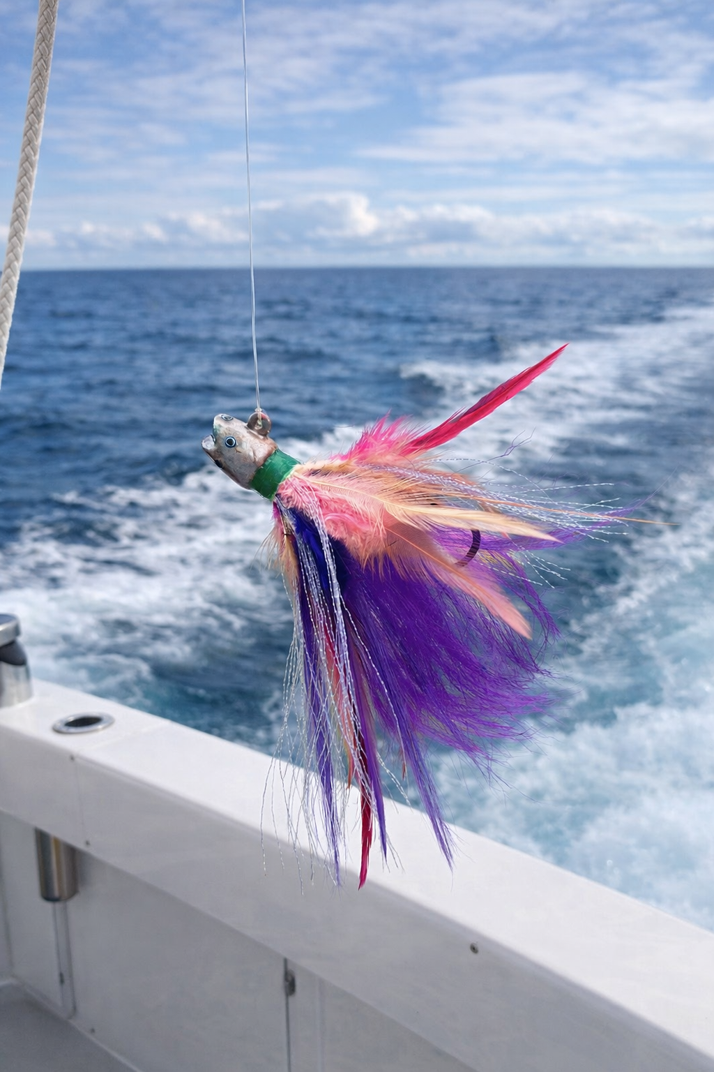 2.5 OZ. COBIA JIG 049