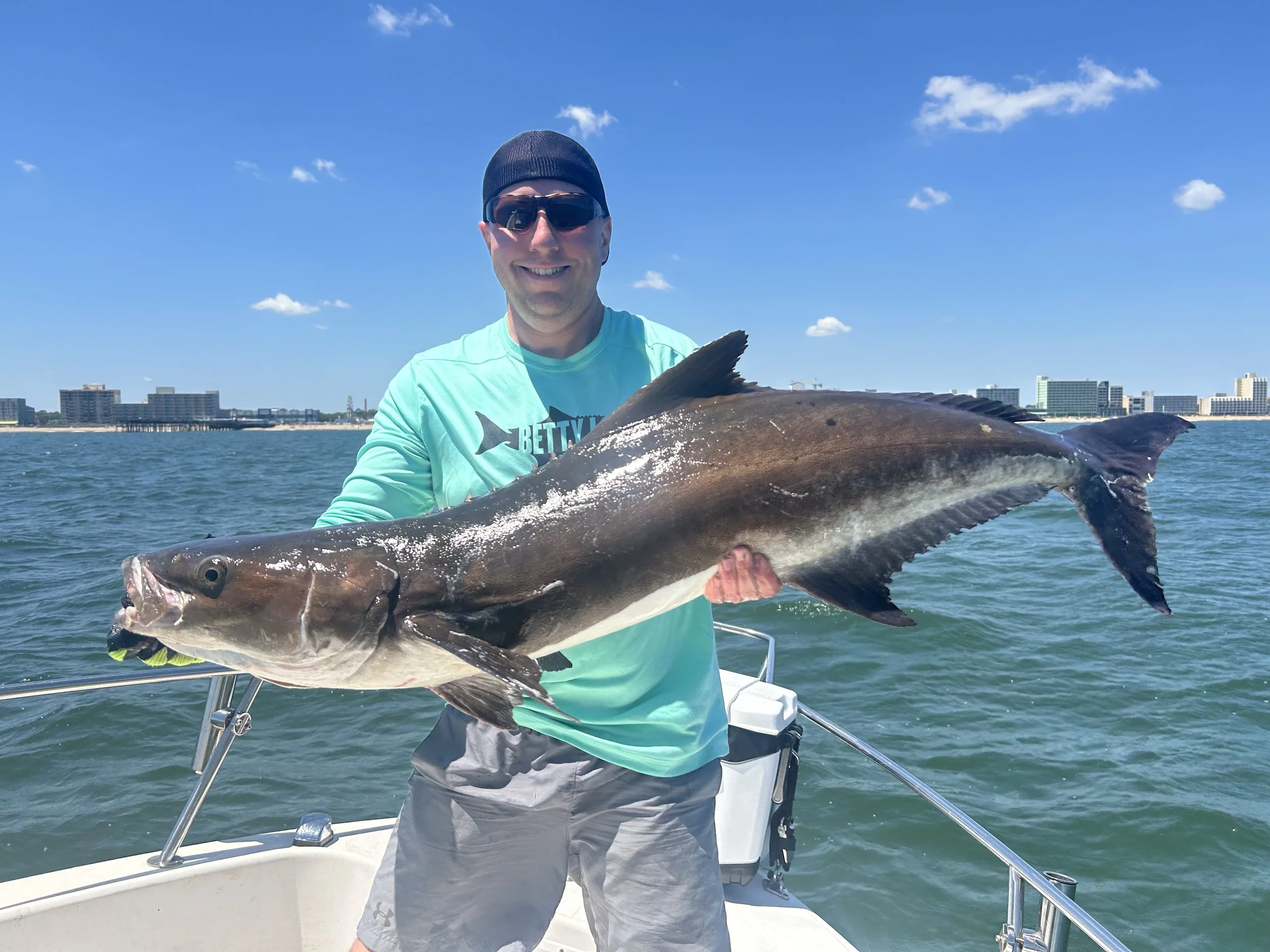 Cobia