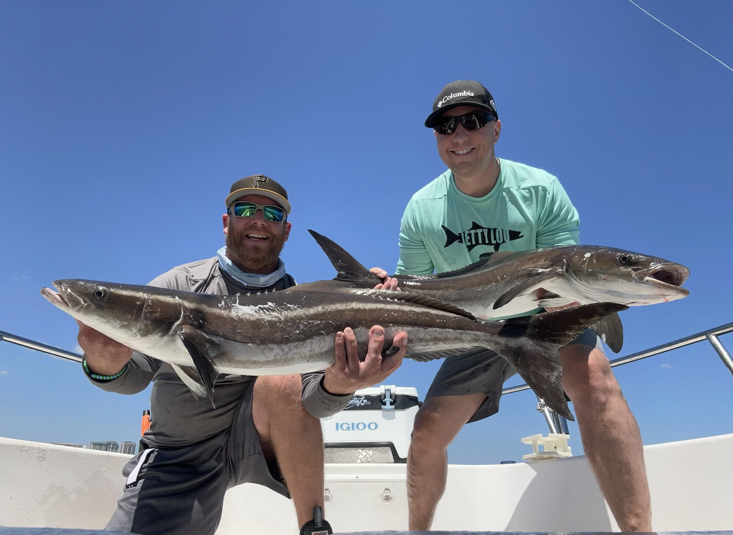 Cobia