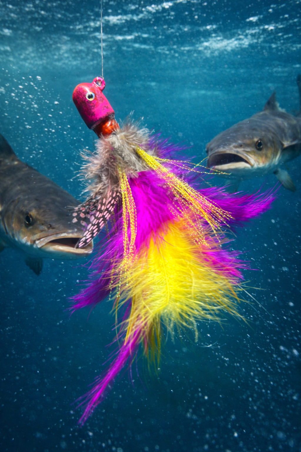 2.5 OZ. COBIA JIG 107