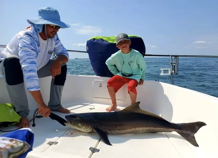 Cobia