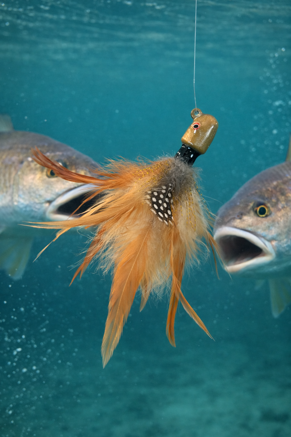 2.5 OZ. COBIA JIG 126