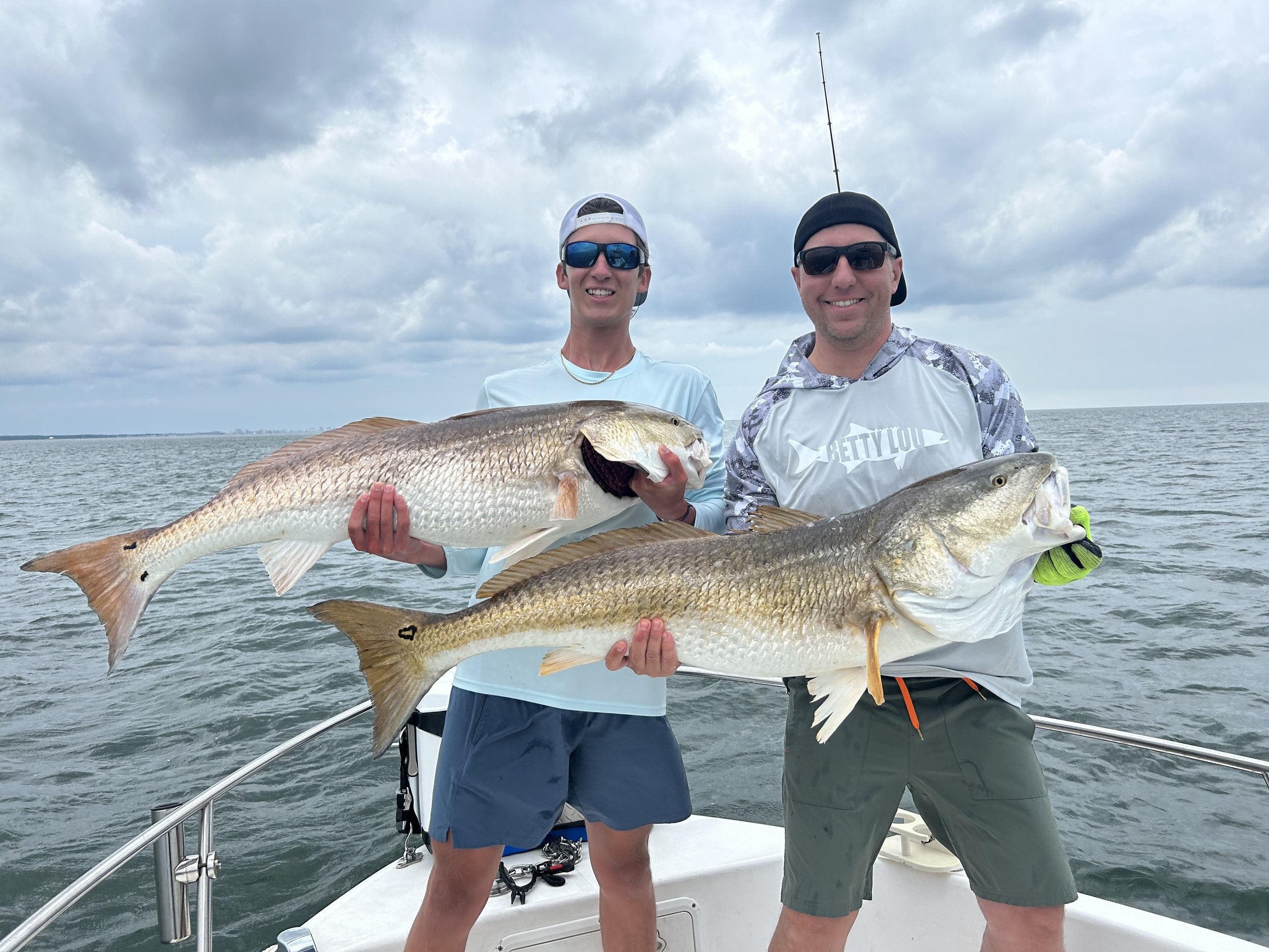 Red Drum
