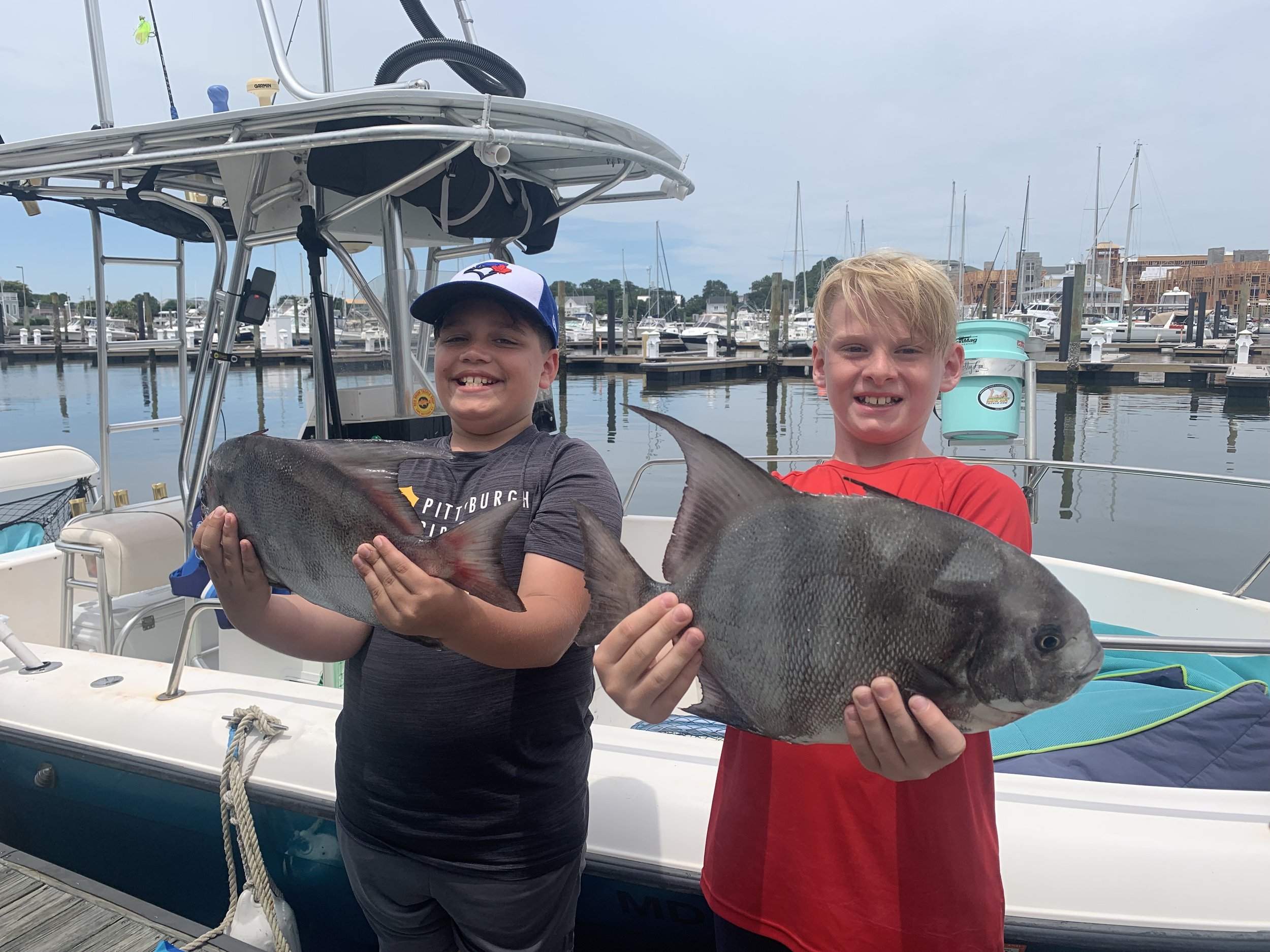 Spadefish