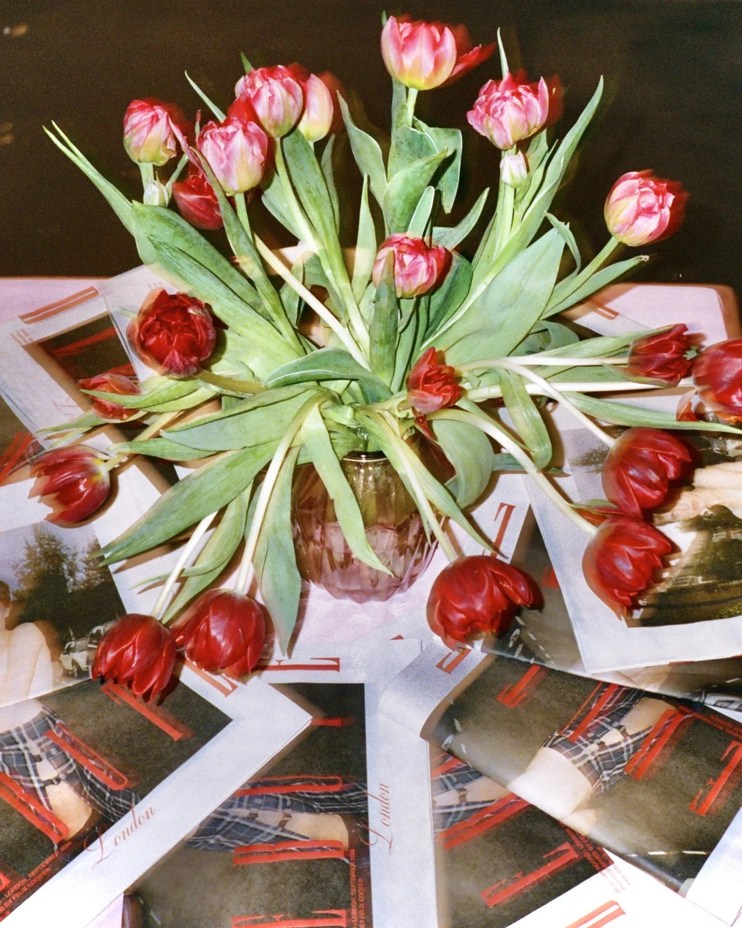 Photo 11-11-2024, 17 01 54.jpg