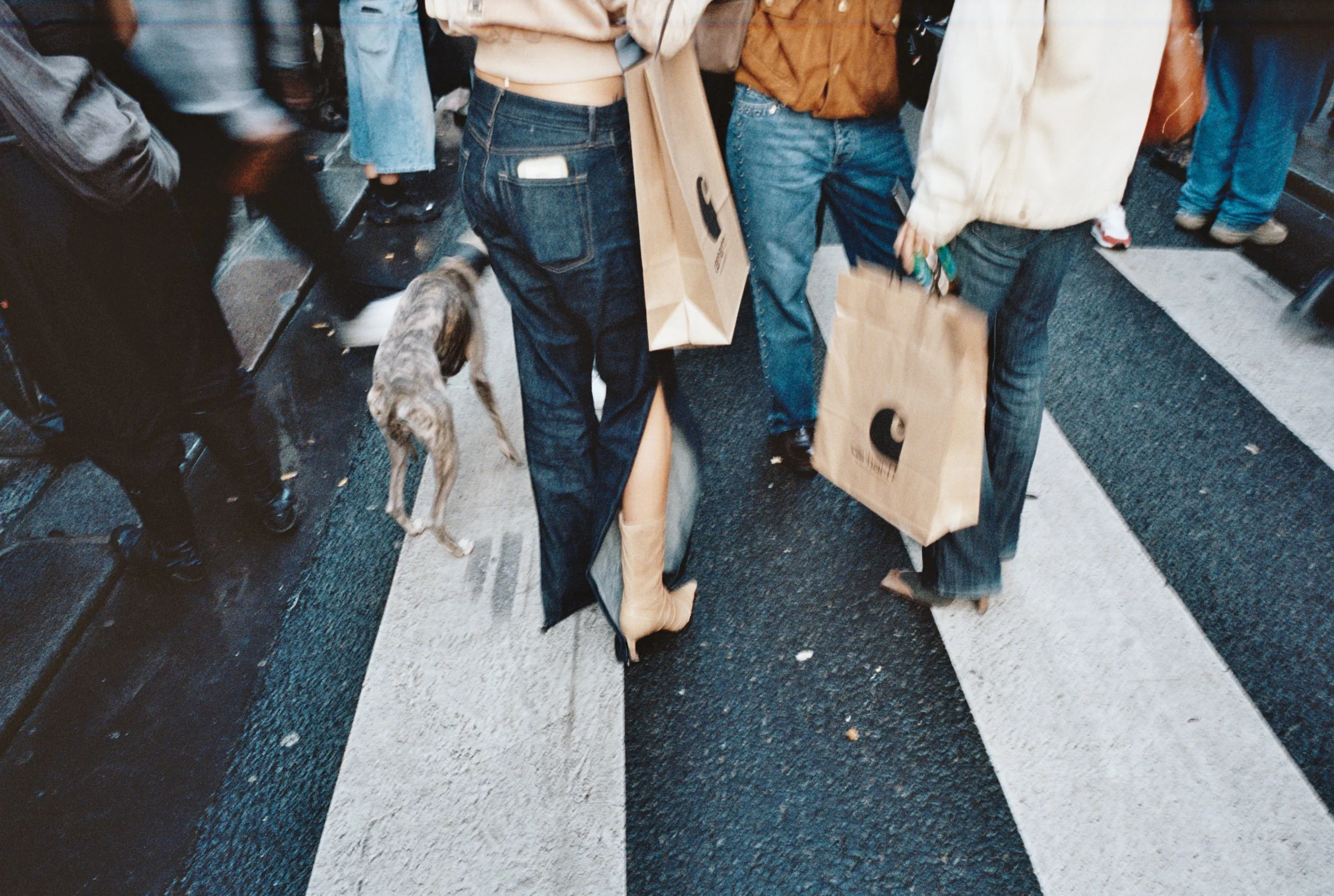 CARHARTT x PERSONALITIES STUDIO