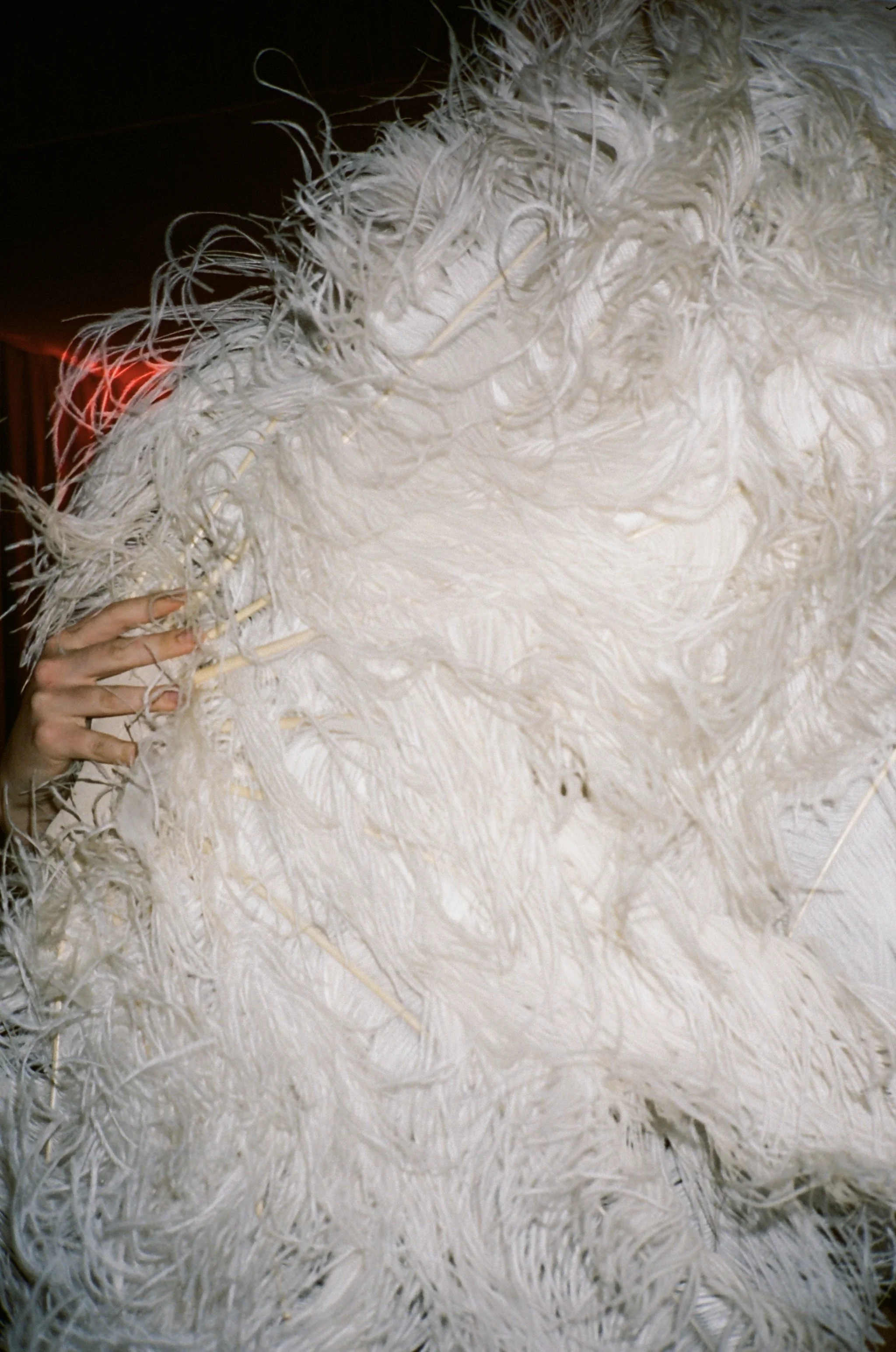 Photo 12-11-2024, 13 27 47 (2).jpg