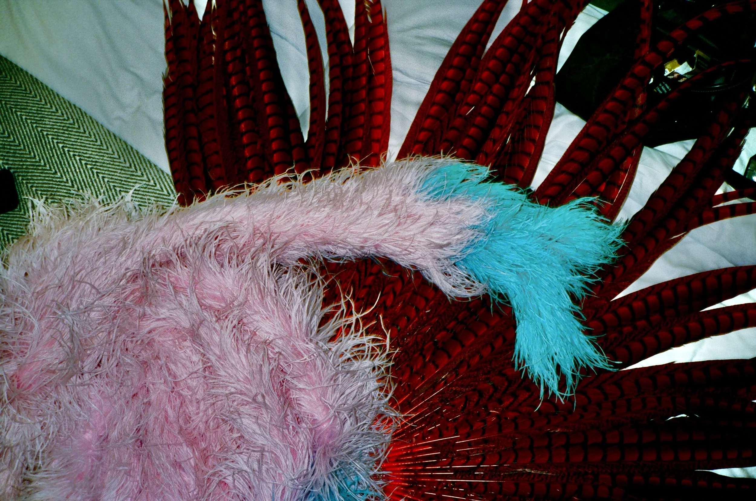 Photo 12-11-2024, 13 28 04.jpg