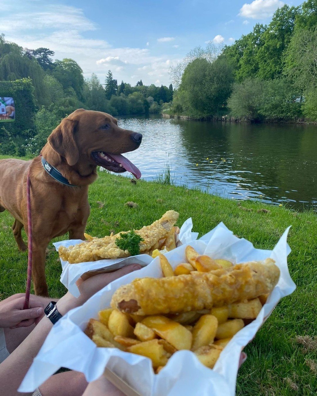Throwing it back to last week's sun-soaked evening at the Pengwarn Boat Club ☀️

Take a look at some photos our customers captured. Remember to tag us in your Fish Heads content! 

#FishHeads #FoodTruck #Shrewsbury #PopUpEvents