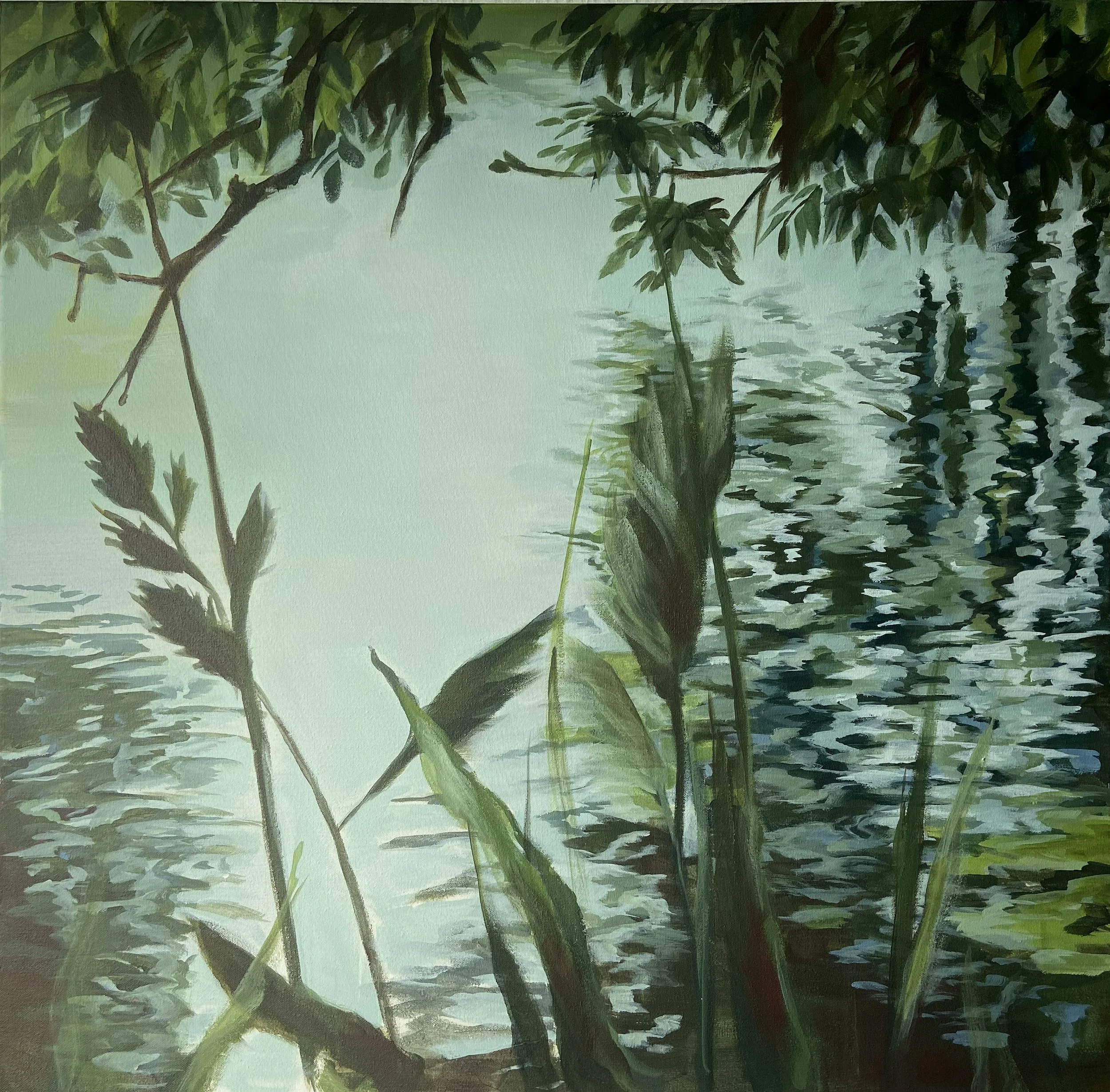 Wasserflora4 Schilf Museumsinsel 80x80cm