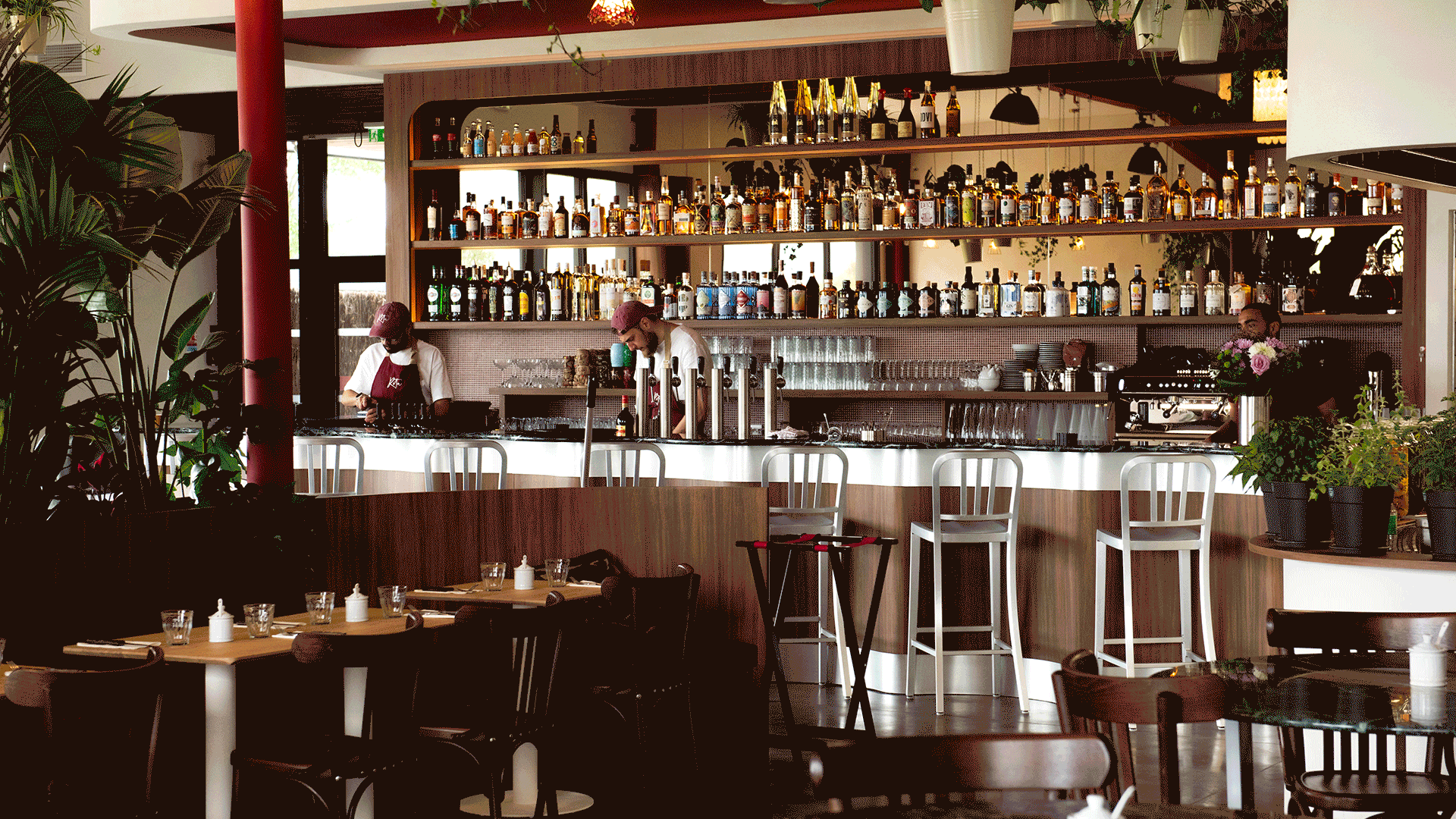 Bar avec étagères remplies de bottles d'alcool, serveurs préparant des boissons, chaises hautes, tables avec vaisselle, plantes décoratives, lumière naturelle et atmosphère chaleureuse
