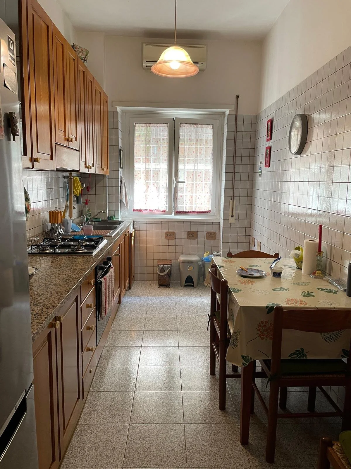 WhatsApp Image 2024-11-11 at 12.37.28.jpeg