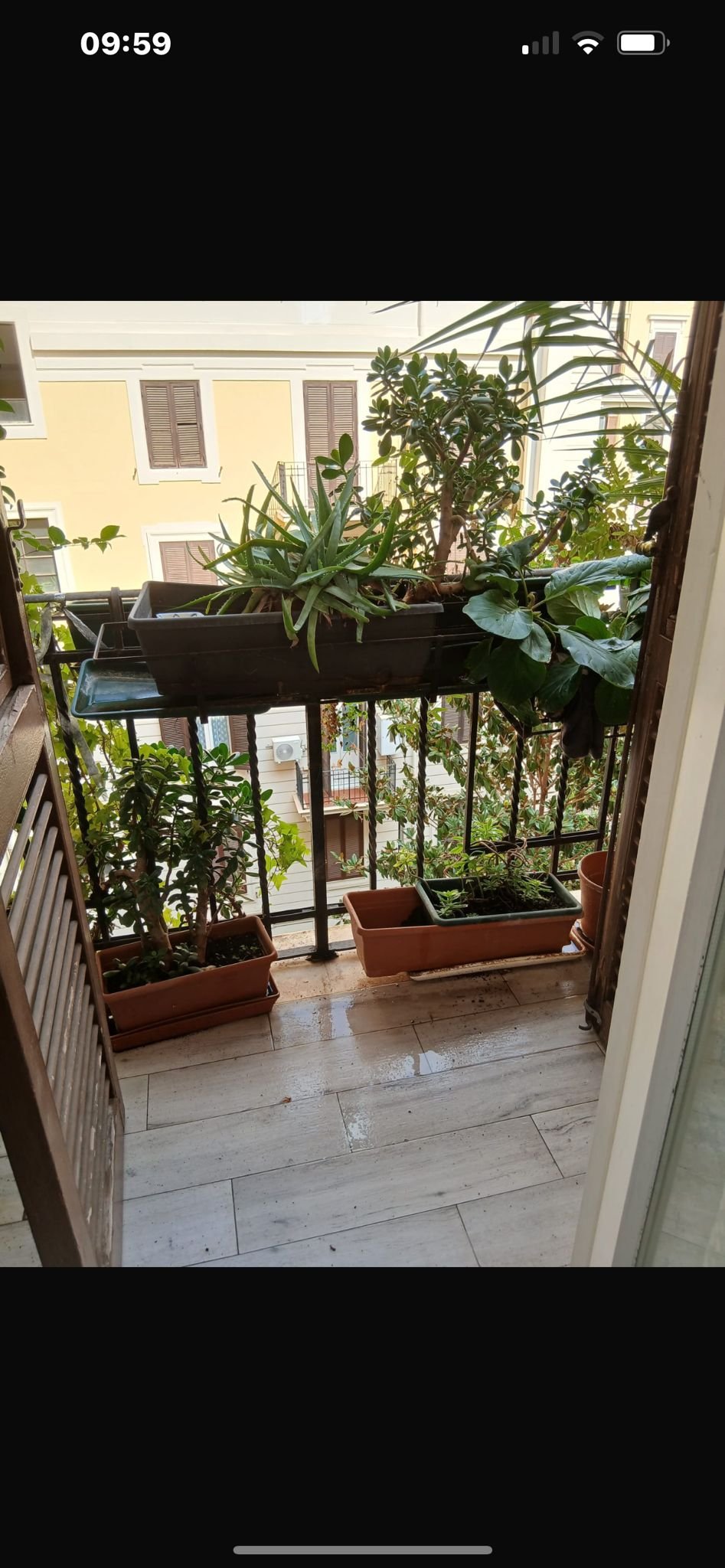 WhatsApp Image 2025-11-24 at 17.59.16_bcd100f8.jpg