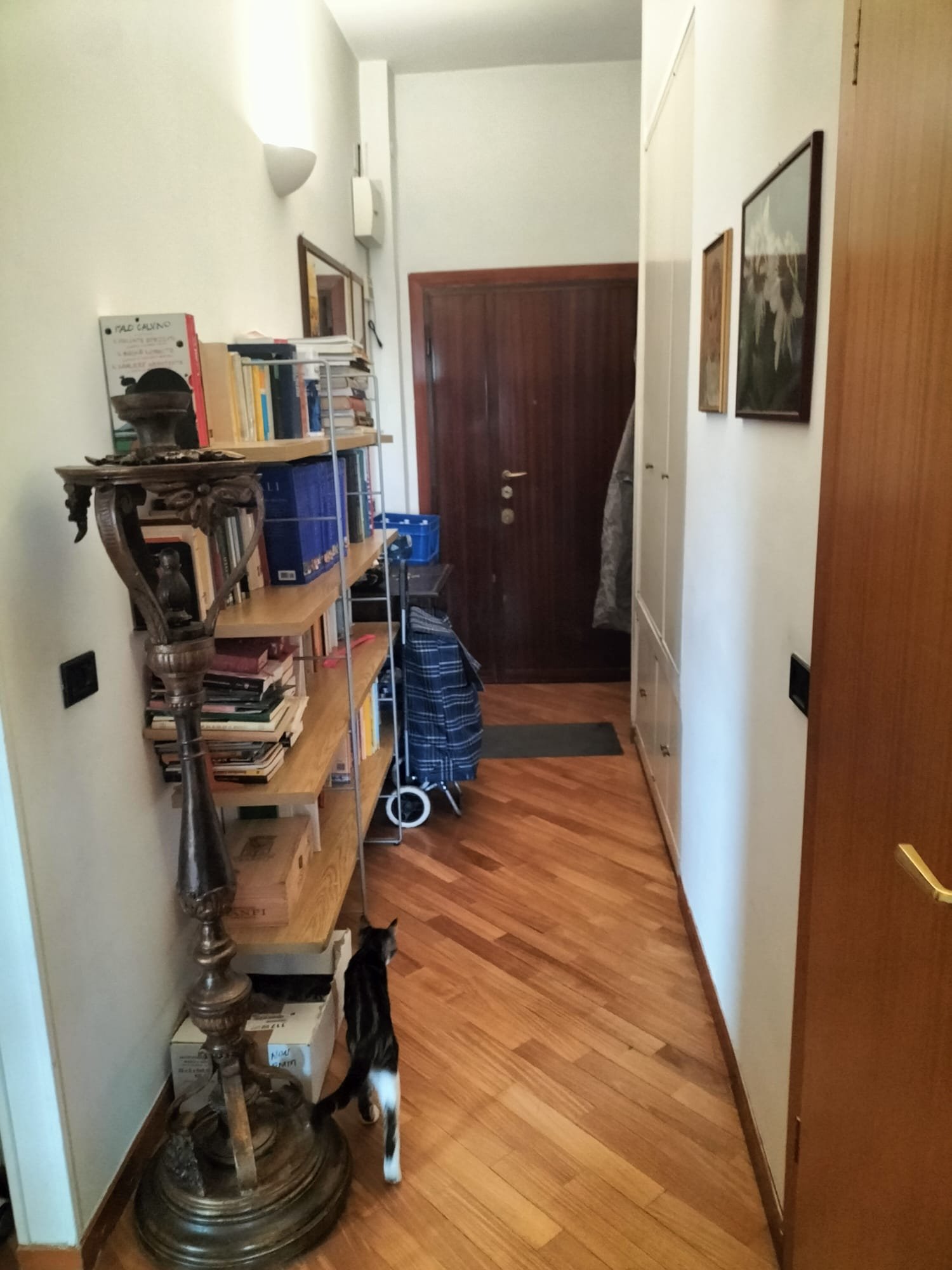 WhatsApp Image 2024-09-19 at 08.53.54 (3).jpeg