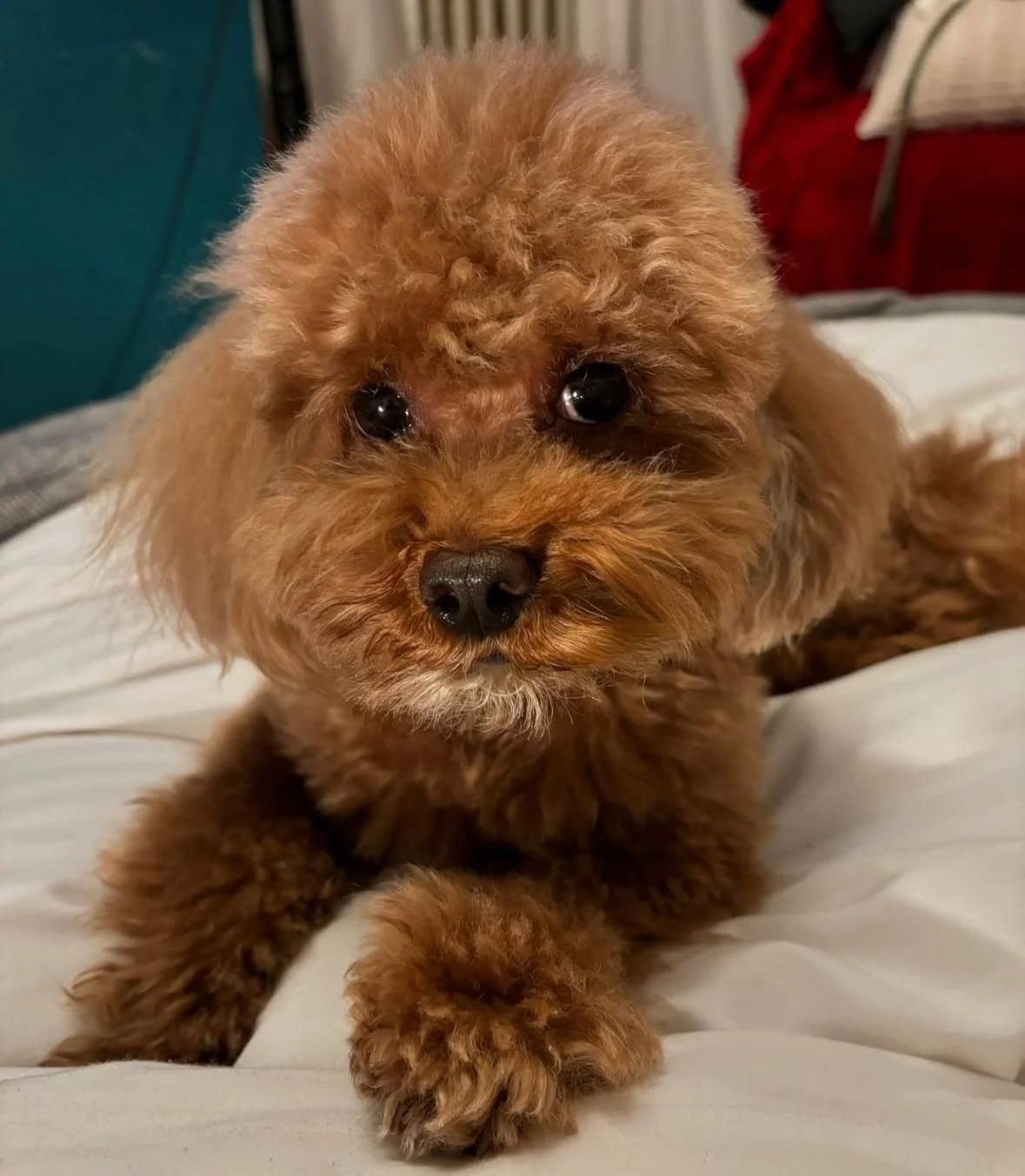 WhatsApp Image 2025-05-15 at 18.08.12.jpeg