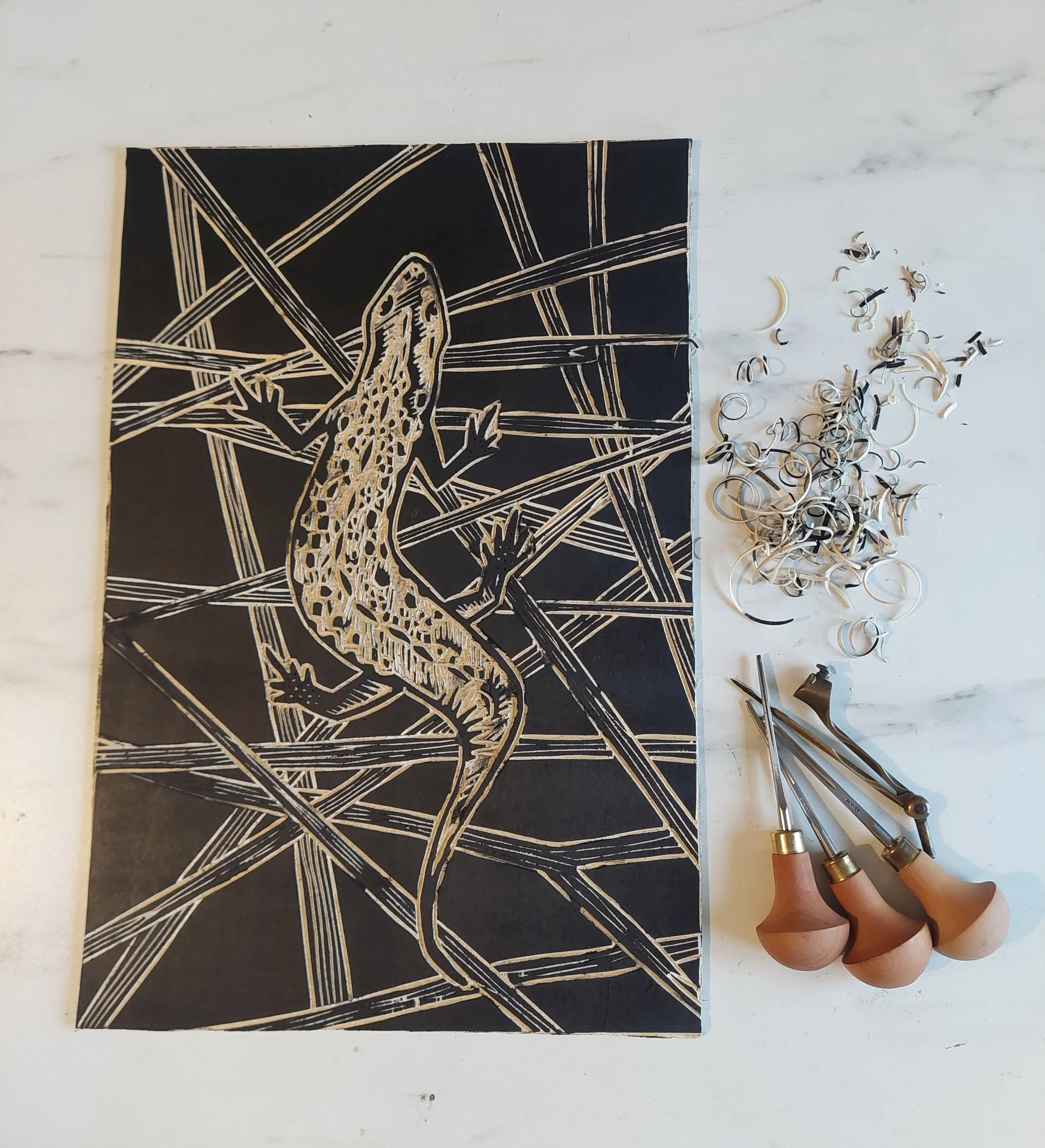 20260209_153026 copy.jpg