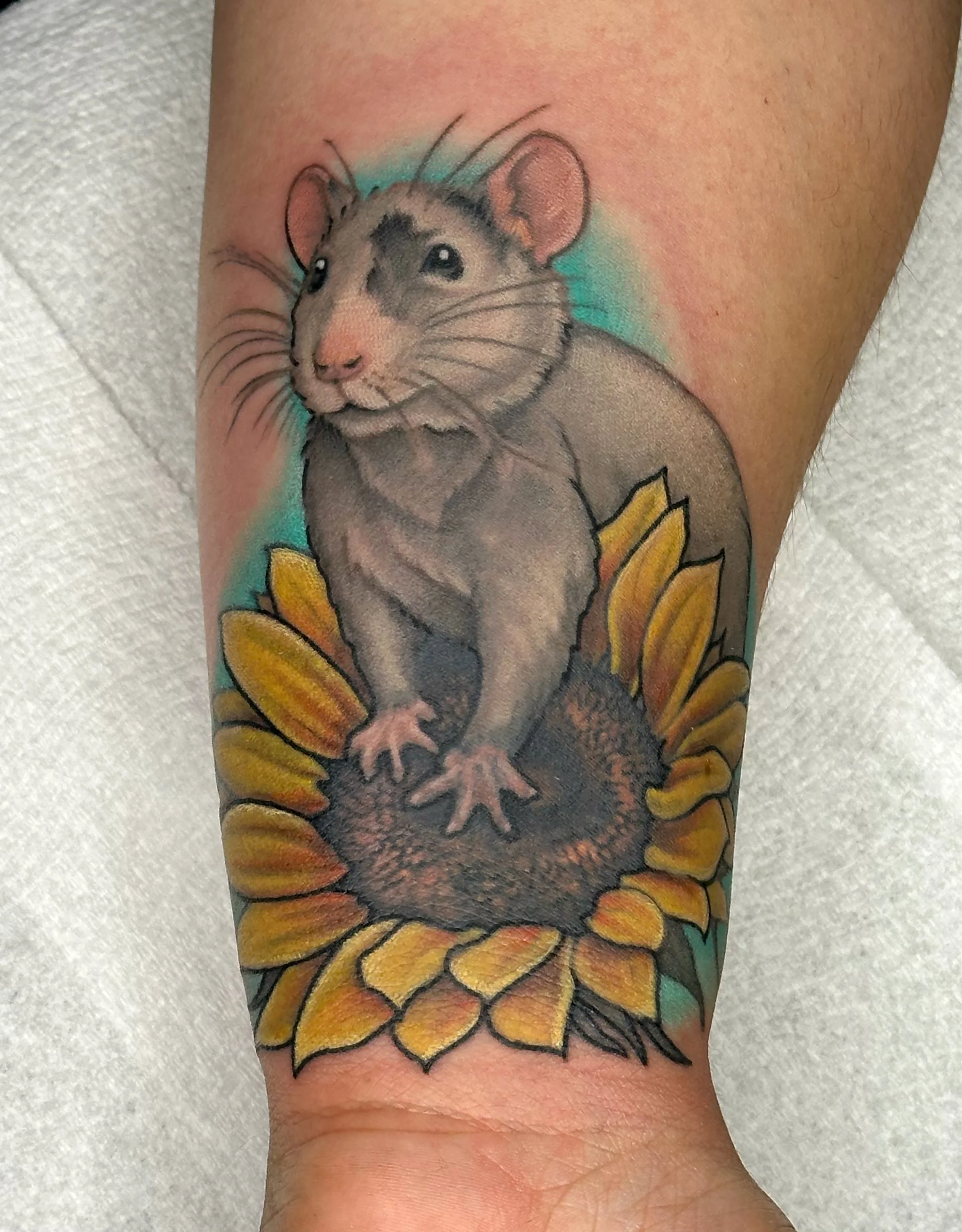 By Joe