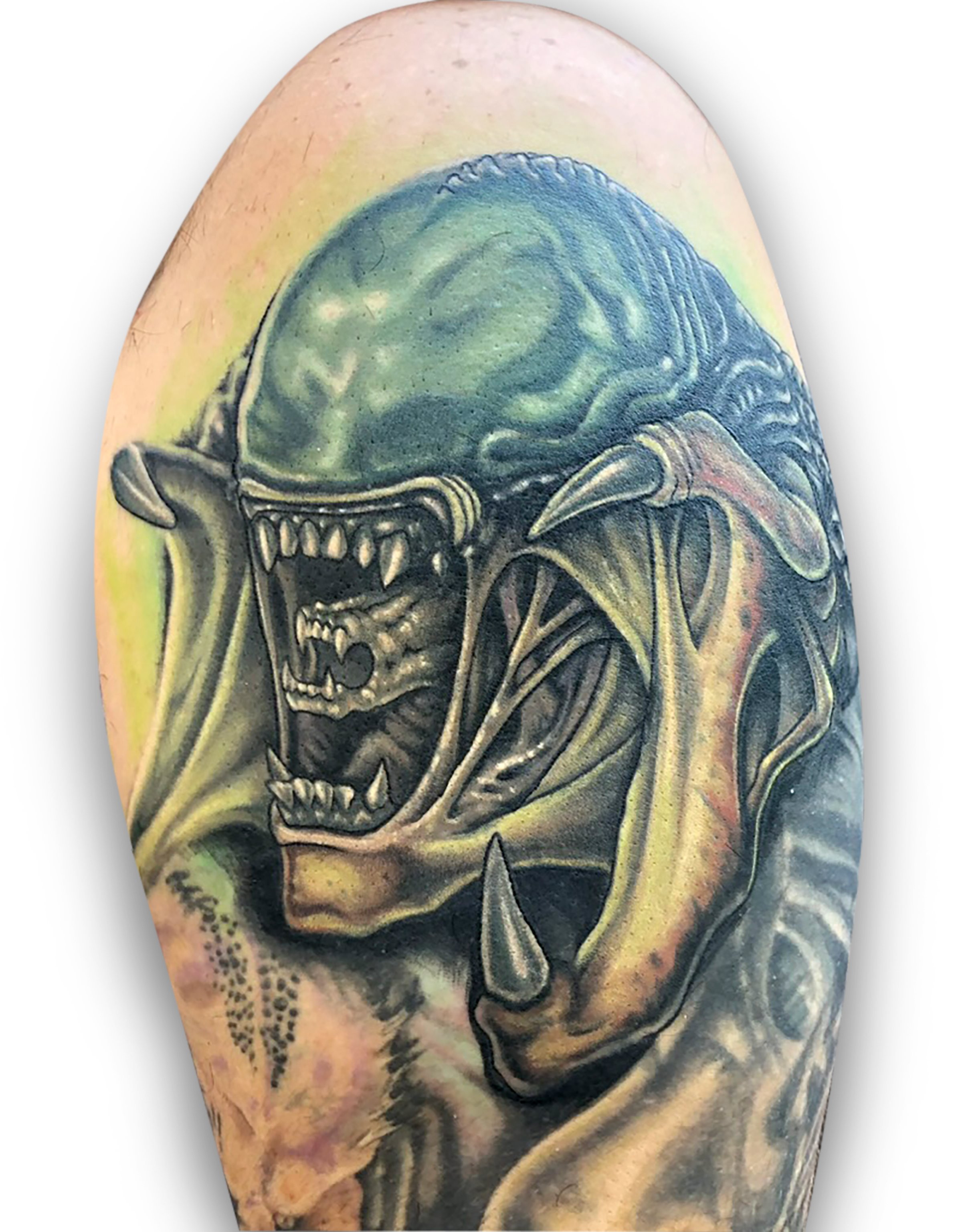 By Joe