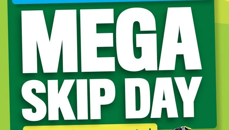 Mega Skip in Teddington