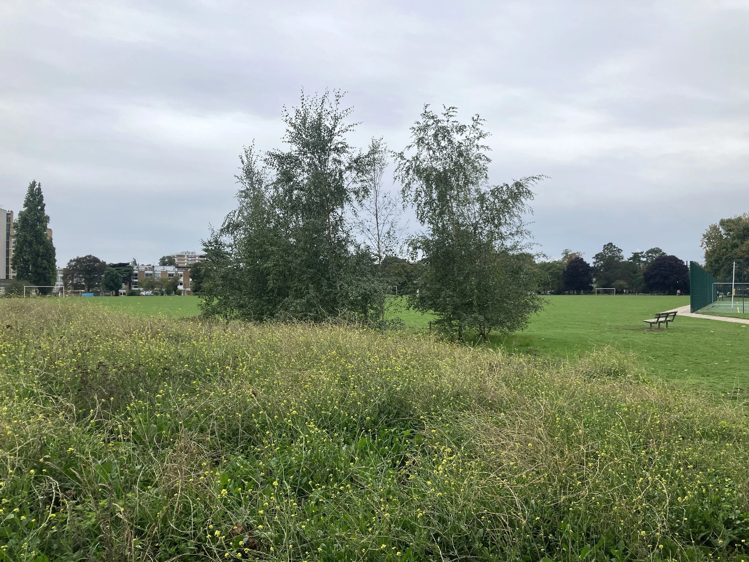 Broom Road Recreation Ground Improvements - Volunteers Needed