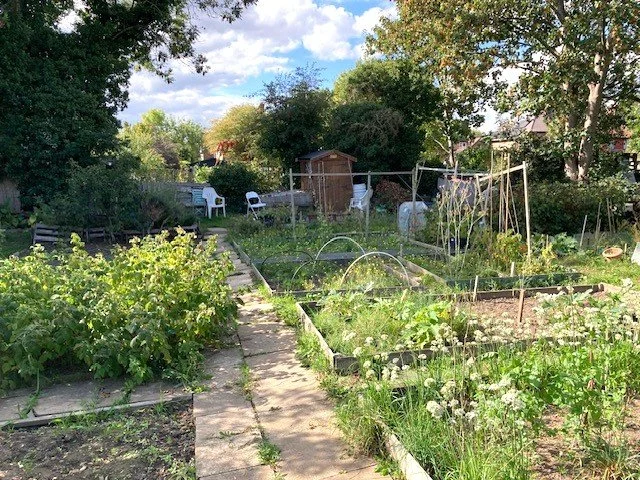 Update on Shacklegate Lane Allotments