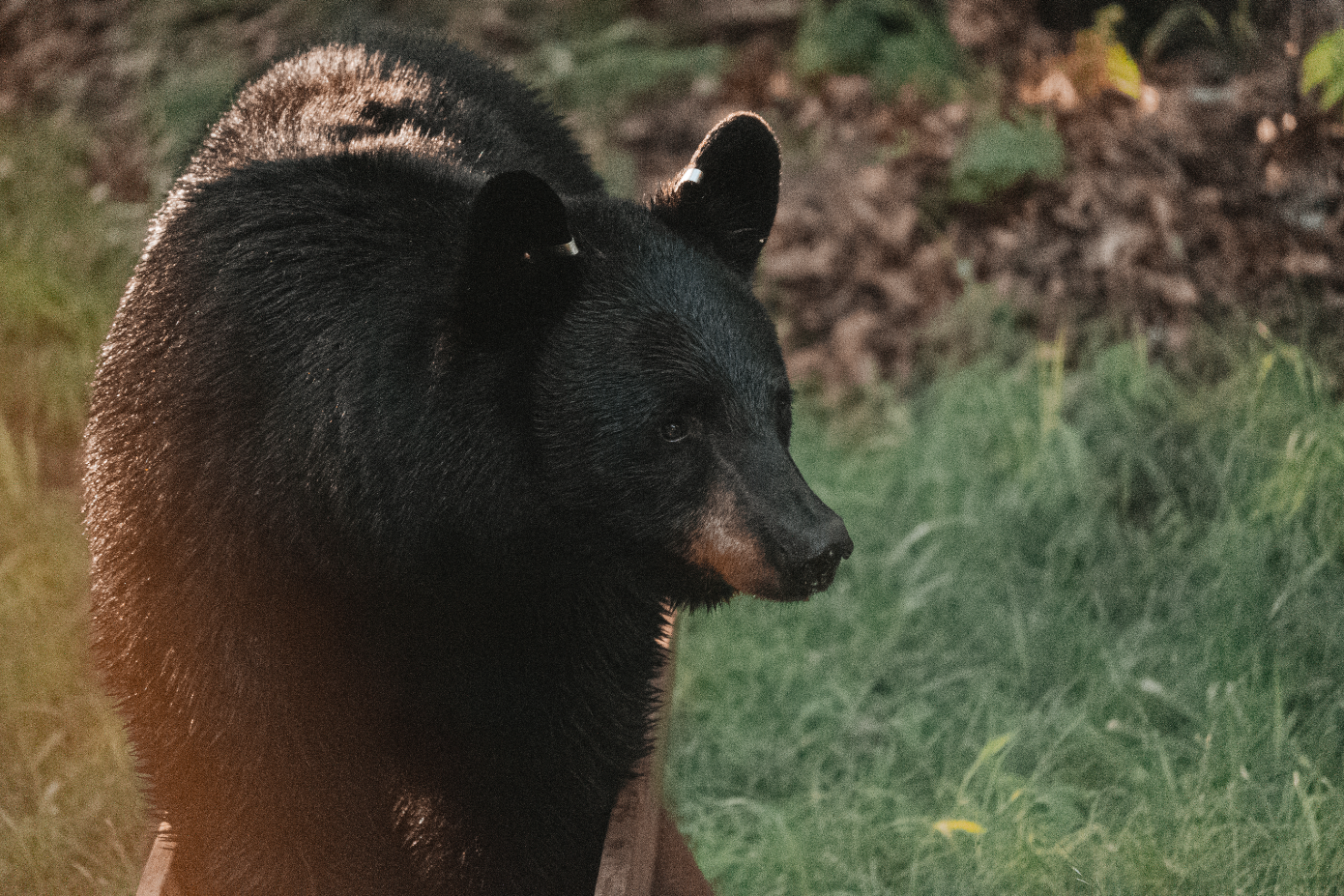 Screenshot 2026-03-03 at 2.10.24 PM.png