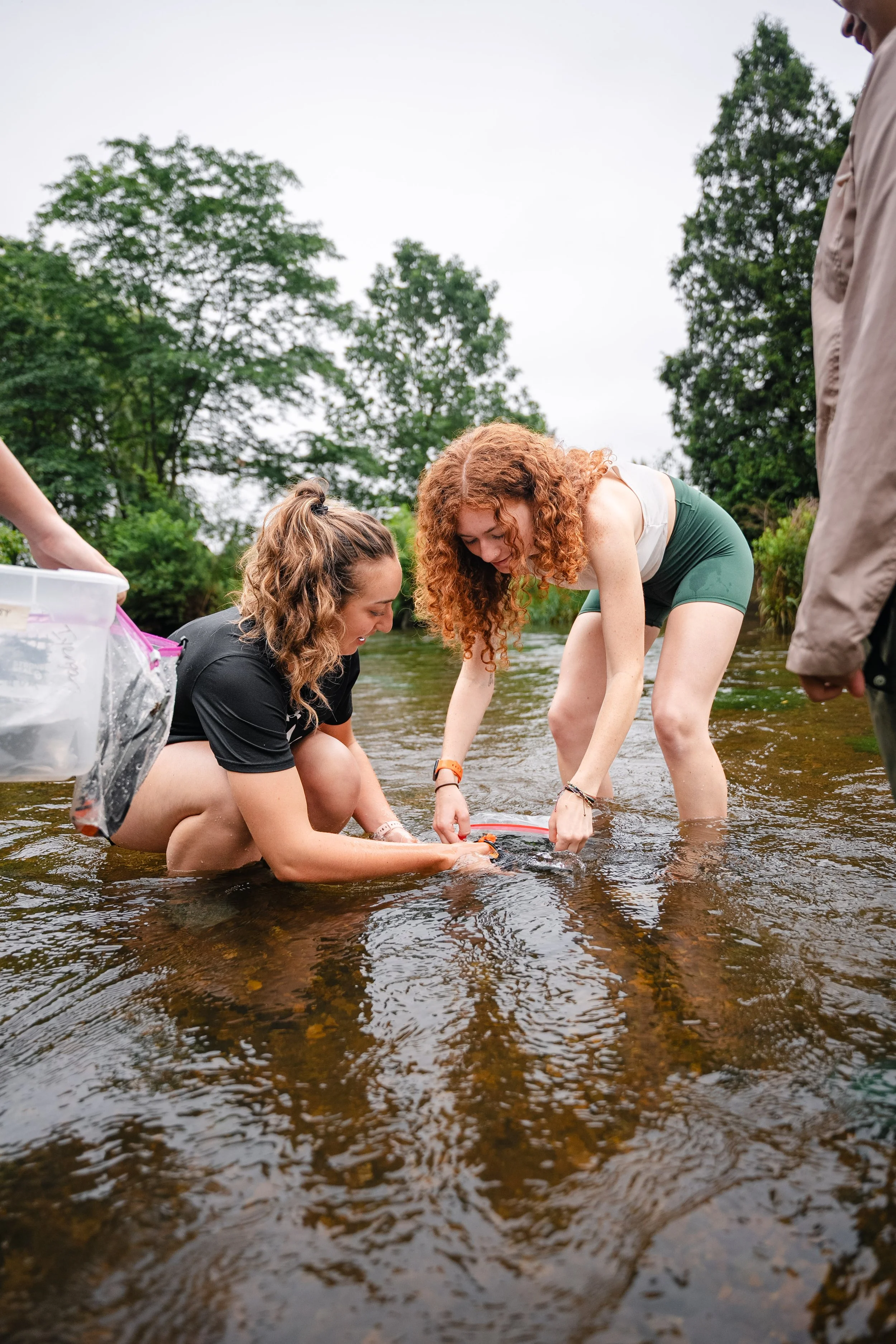 2025-06-18 Summer Research Karen Tuerk Cedar Creek - Joe Romano-55.jpg