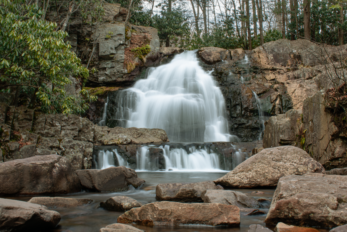 Screenshot 2026-03-03 at 2.11.01 PM.png