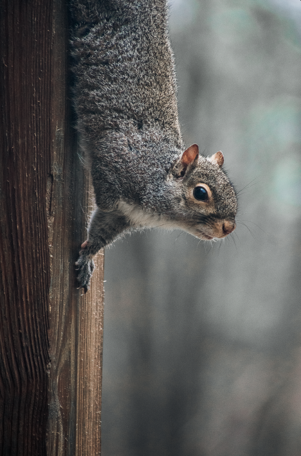 Screenshot 2026-03-03 at 2.10.31 PM.png