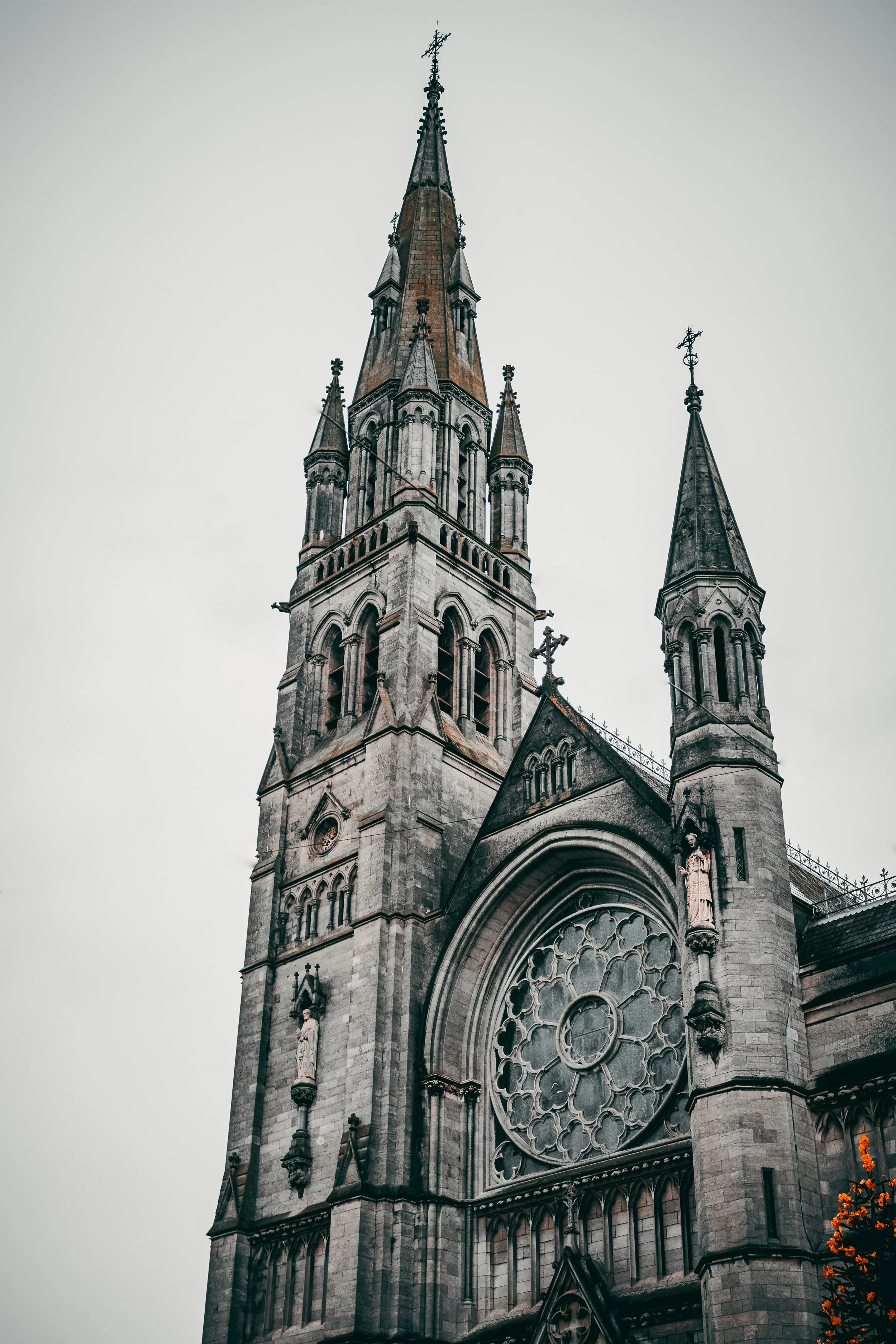 Iveagh Market -5.jpg