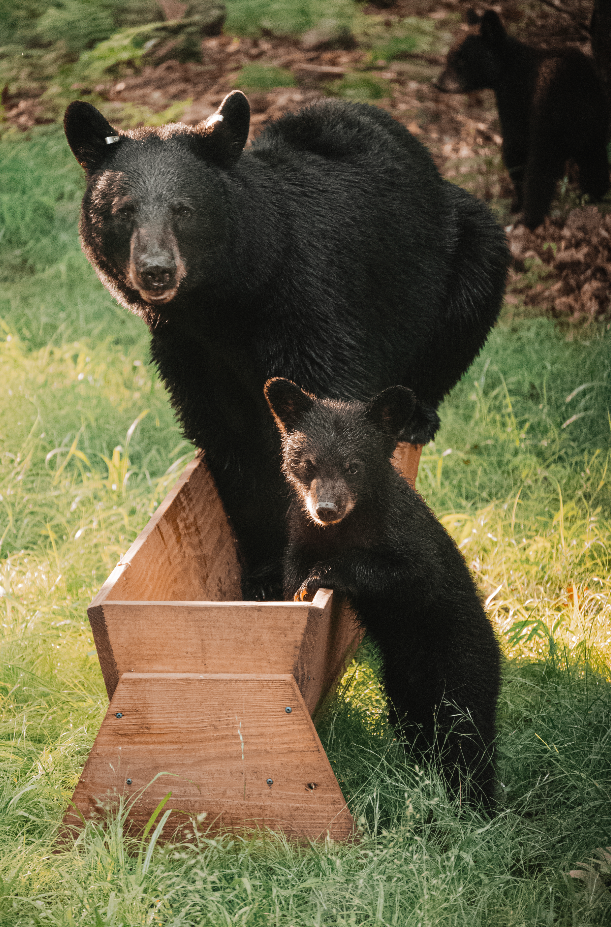 Screenshot 2026-03-03 at 2.09.58 PM.png