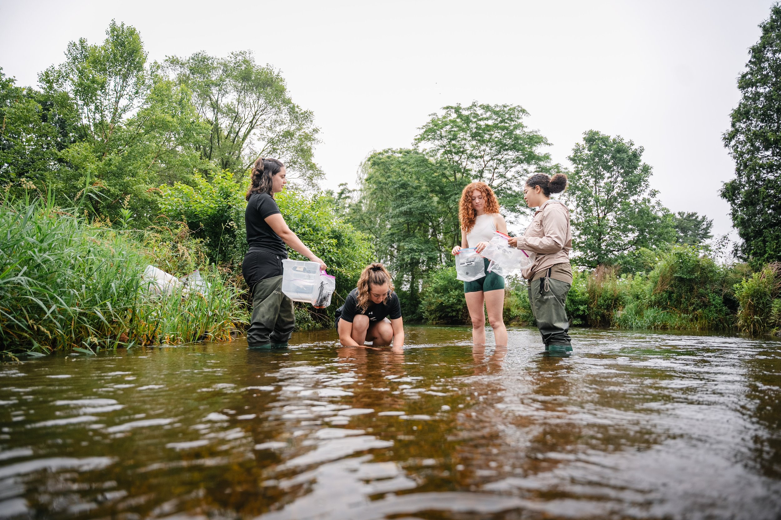 2025-06-18 Summer Research Karen Tuerk Cedar Creek - Joe Romano-41.jpg
