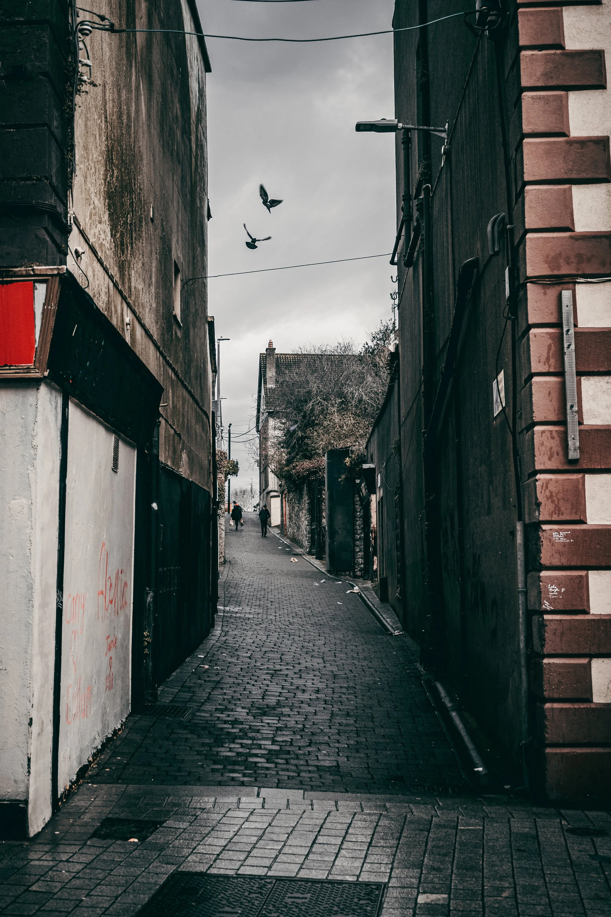 Iveagh Market -6.jpg