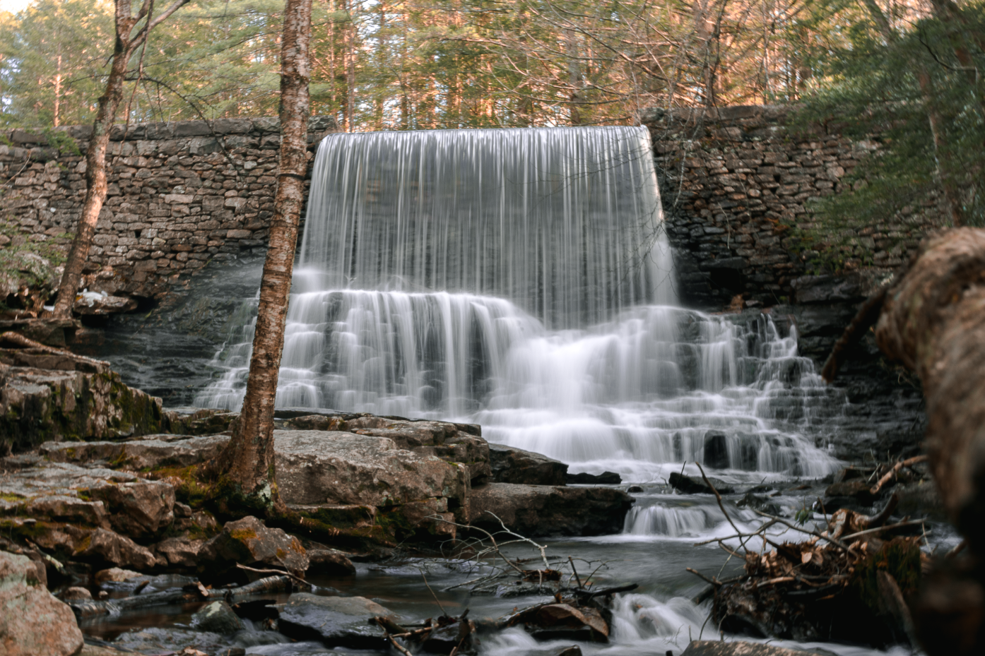 Screenshot 2026-03-03 at 2.11.19 PM.png