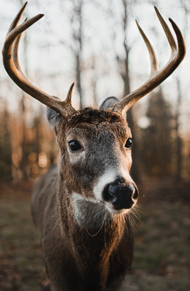 Screenshot 2026-03-03 at 2.10.53 PM.png