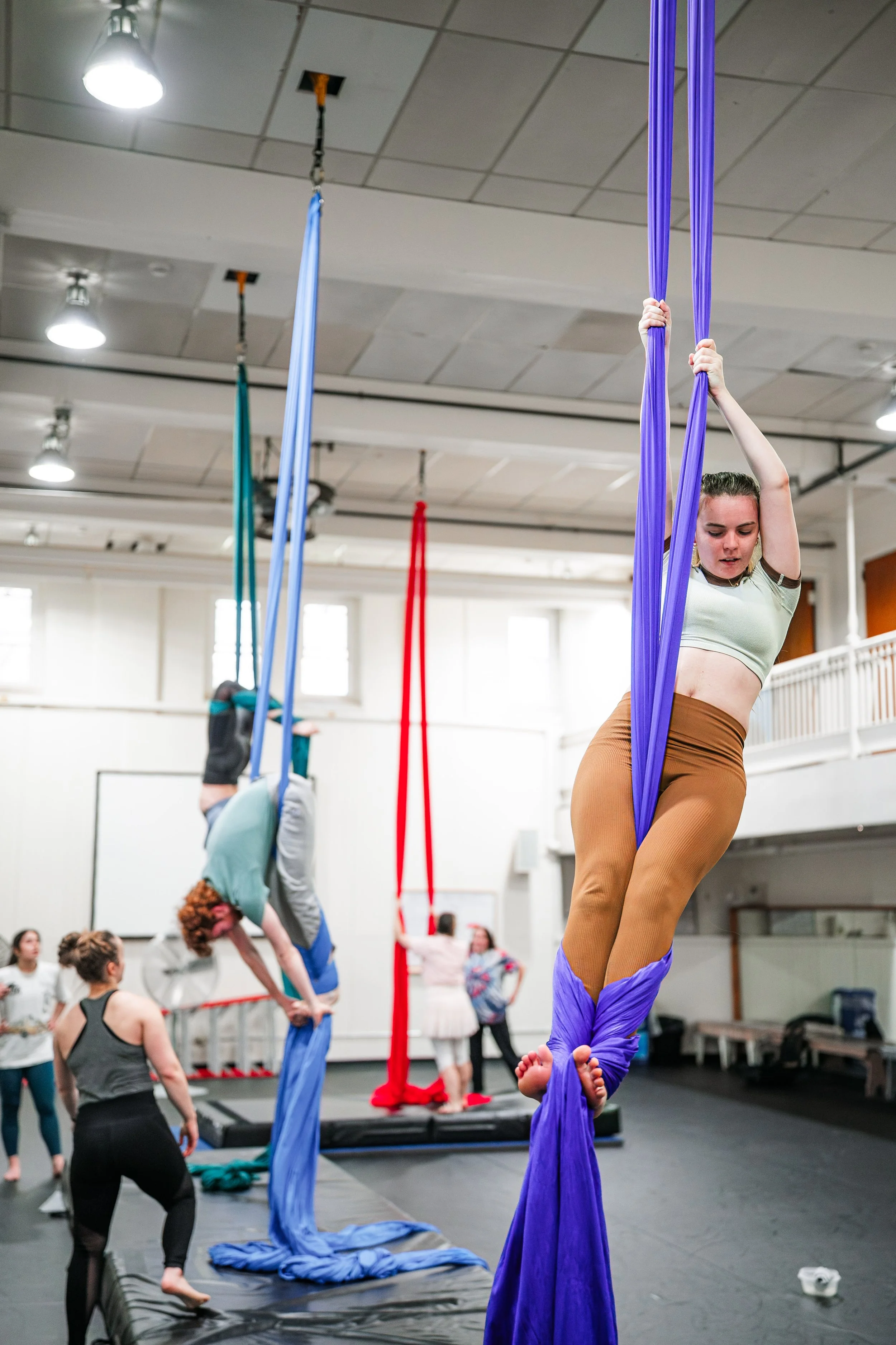 DNC 225 - Aerial Acrobatics II_4_15_2025-46.jpg