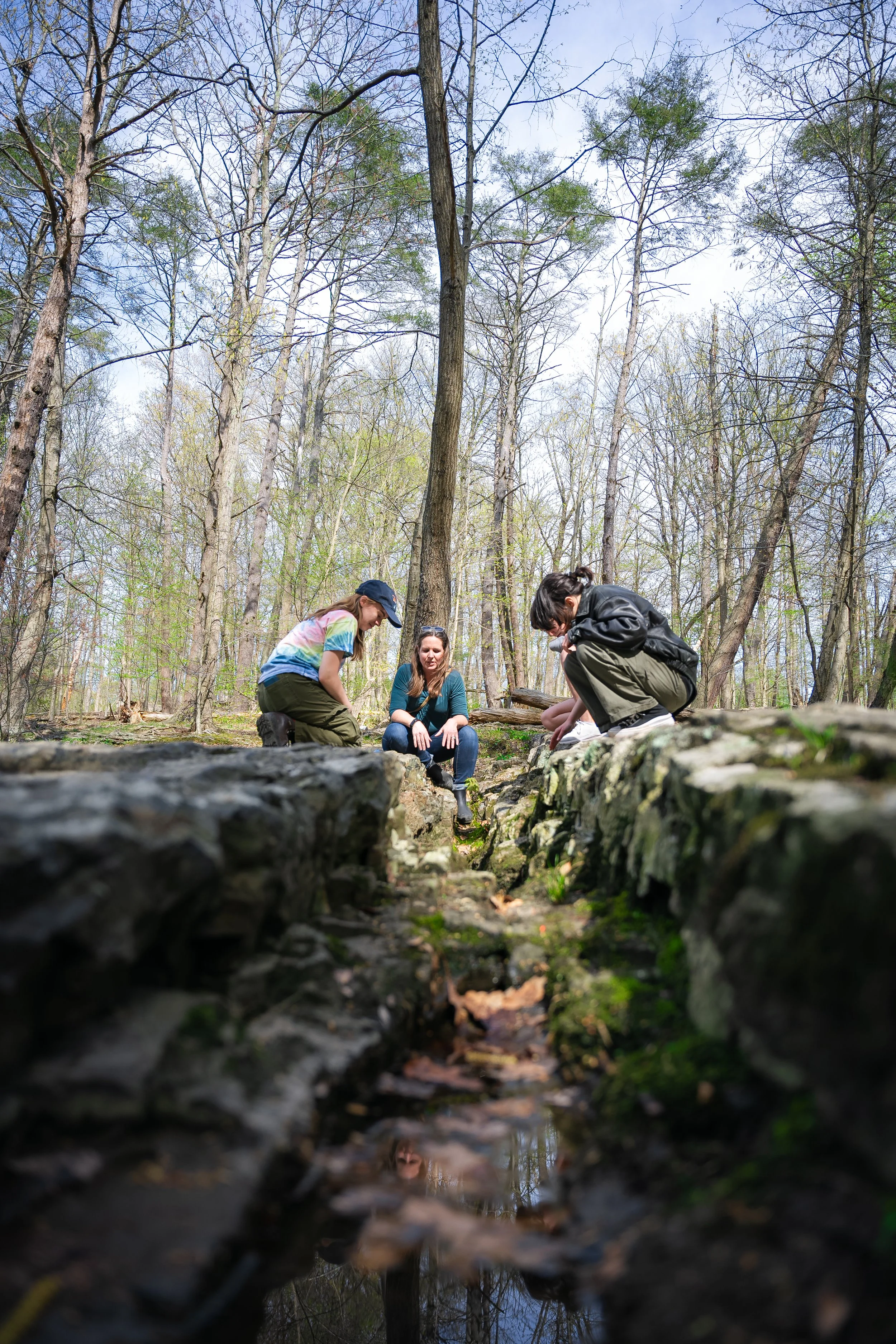 Ringing Rocks Field Trip Spring 2024-72.jpg