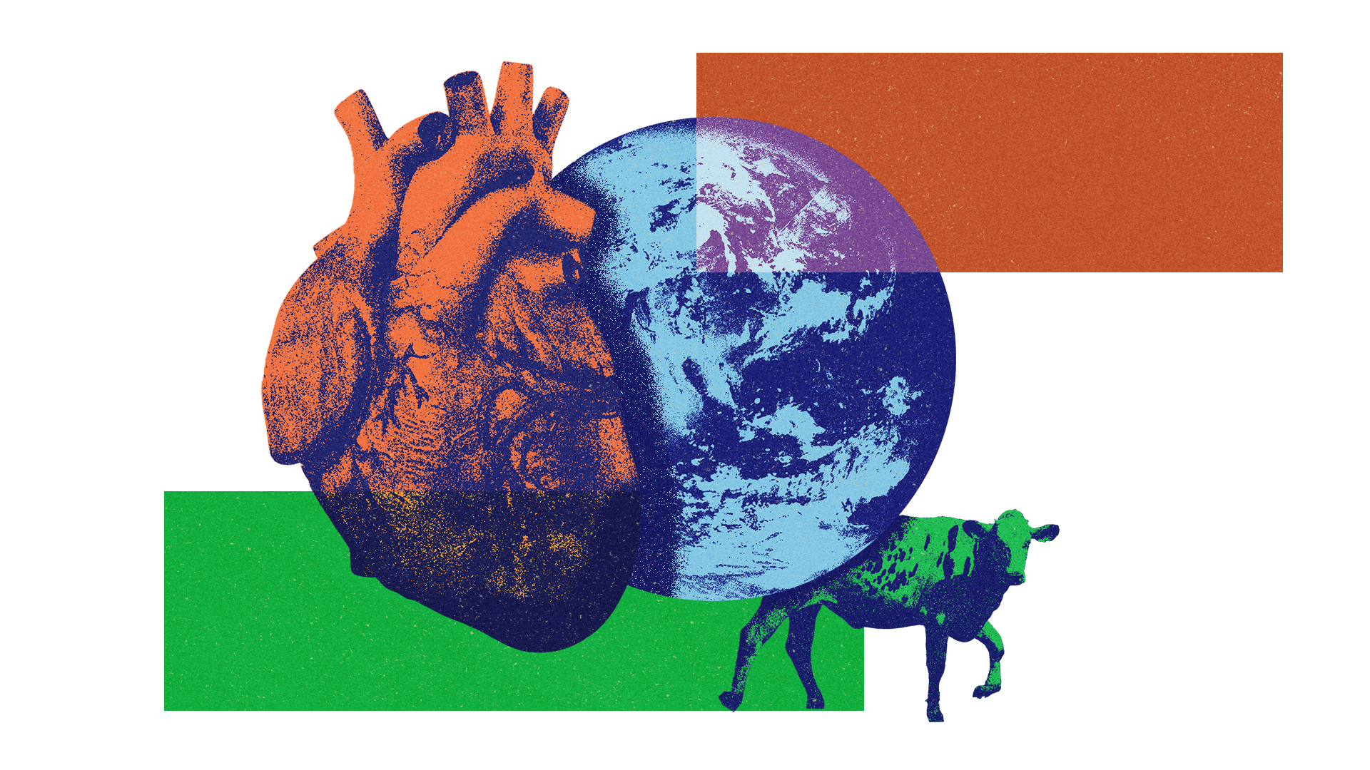 A digital collage depicting a human heart, the Earth, and a dinosaur, with colored geometric shapes in orange, blue, and green background elements.