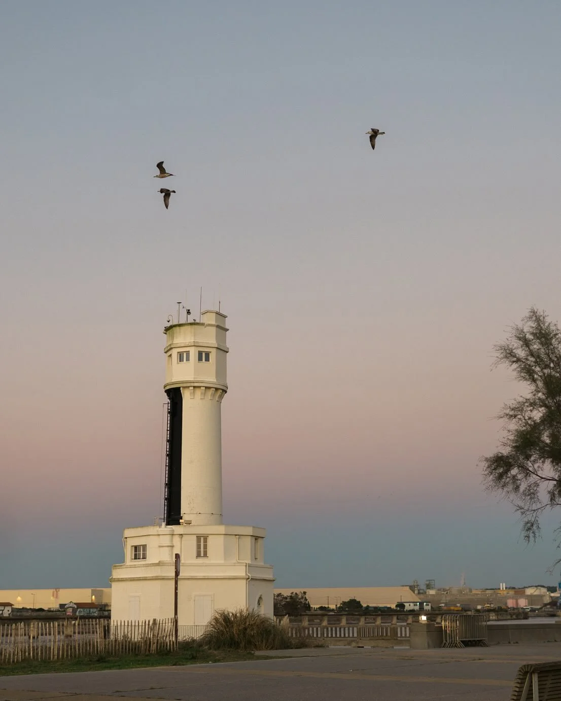 Mariage surprise 

Non, ils ne font rien comme les autres.

Pourquoi inviter famille et ami.es &agrave; leur mariage s&rsquo;ils peuvent pr&eacute;tendre f&ecirc;ter un anniversaire?
C&rsquo;est bien plus amusant de voir les &eacute;motions brutes et