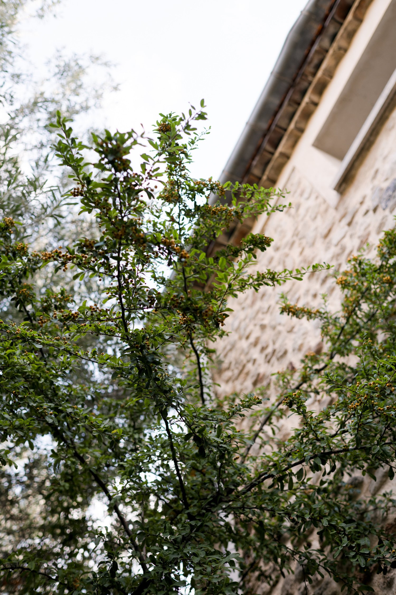 mariage provence 022.jpg