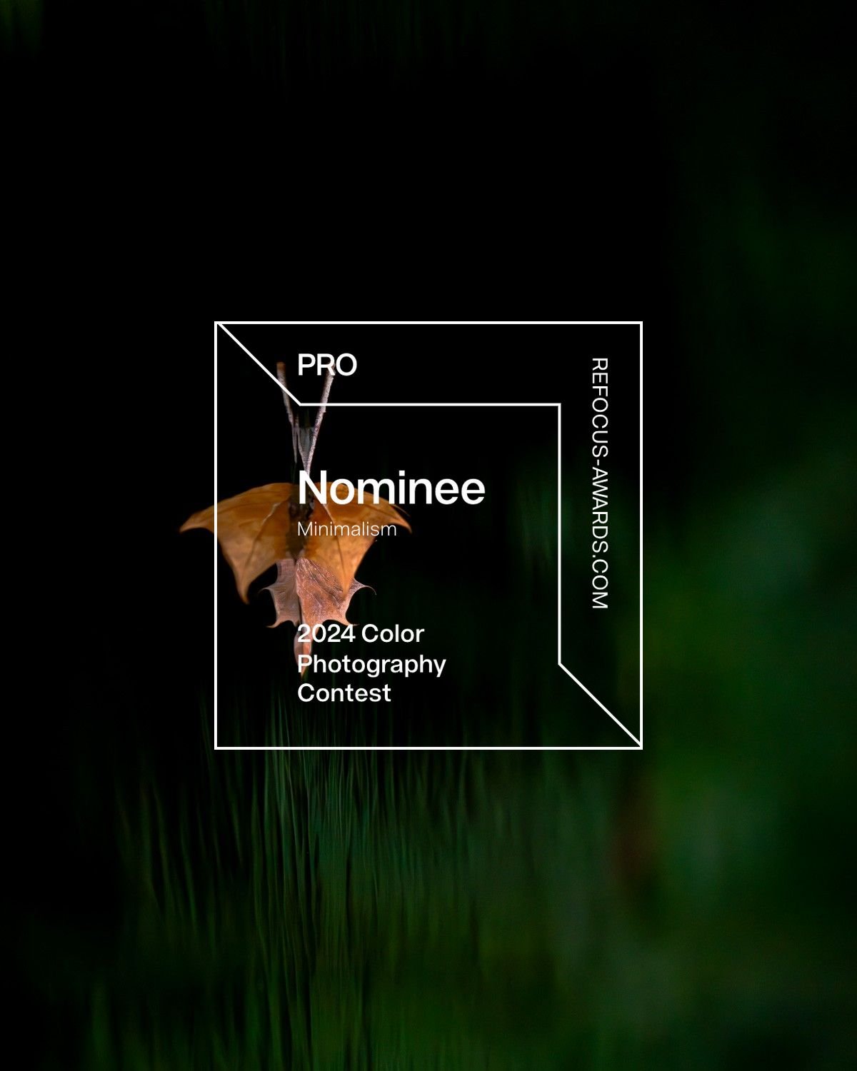 nominee-hidden-creature-badge-5.jpg