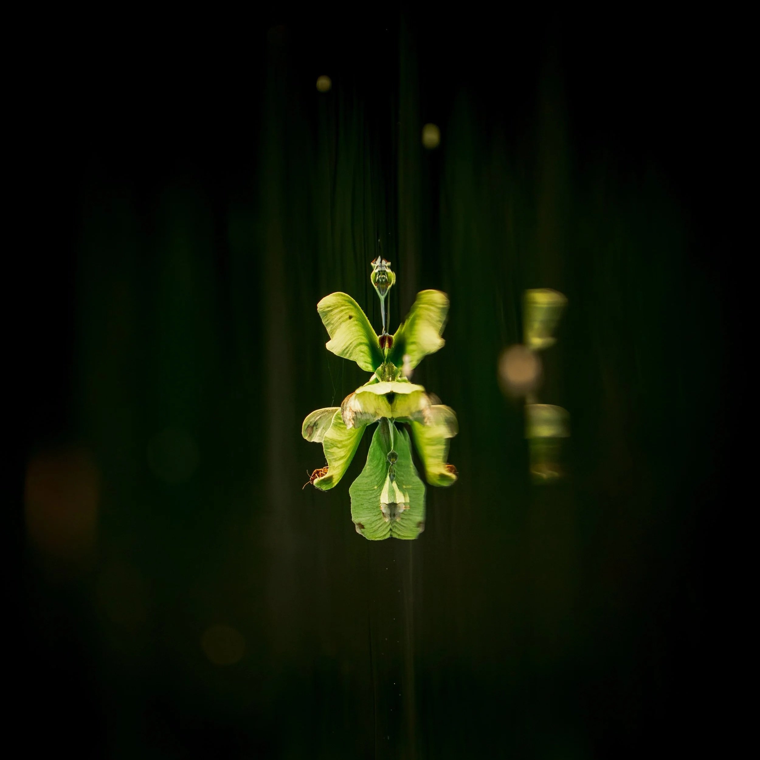 Reflect.
Leave seeing differently.